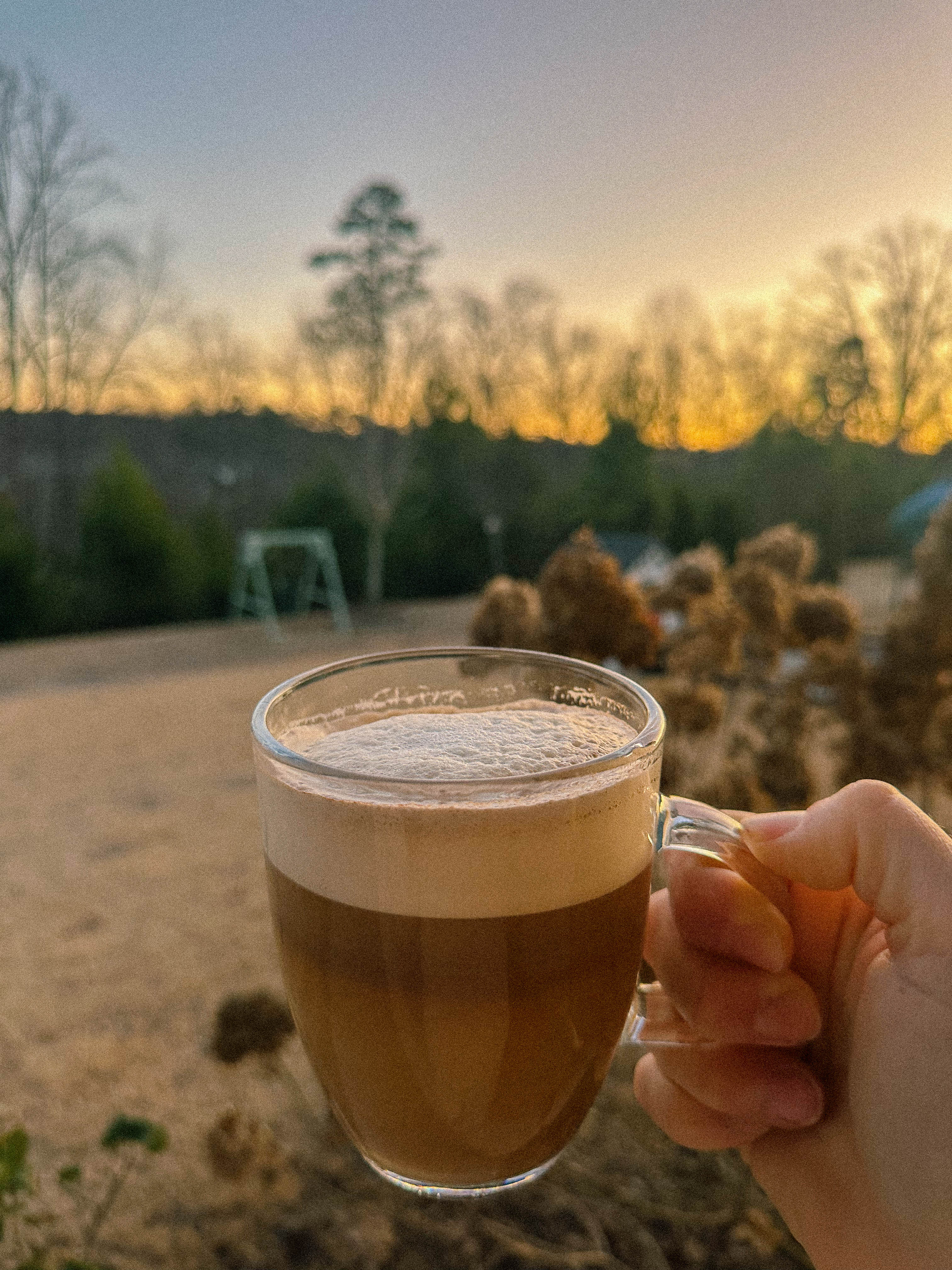 winter, mom life, pregnancy, january, things to do, fort mill, charlotte, cookies, baking, healthy, meals, dinner, what to eat, football season, salads, breakfast spots, matcha, coffee, parm, swim lessons, lifestyle blogger, motherhood blog, home cleaning, pad thai, life with a toddler, pregnancy updates