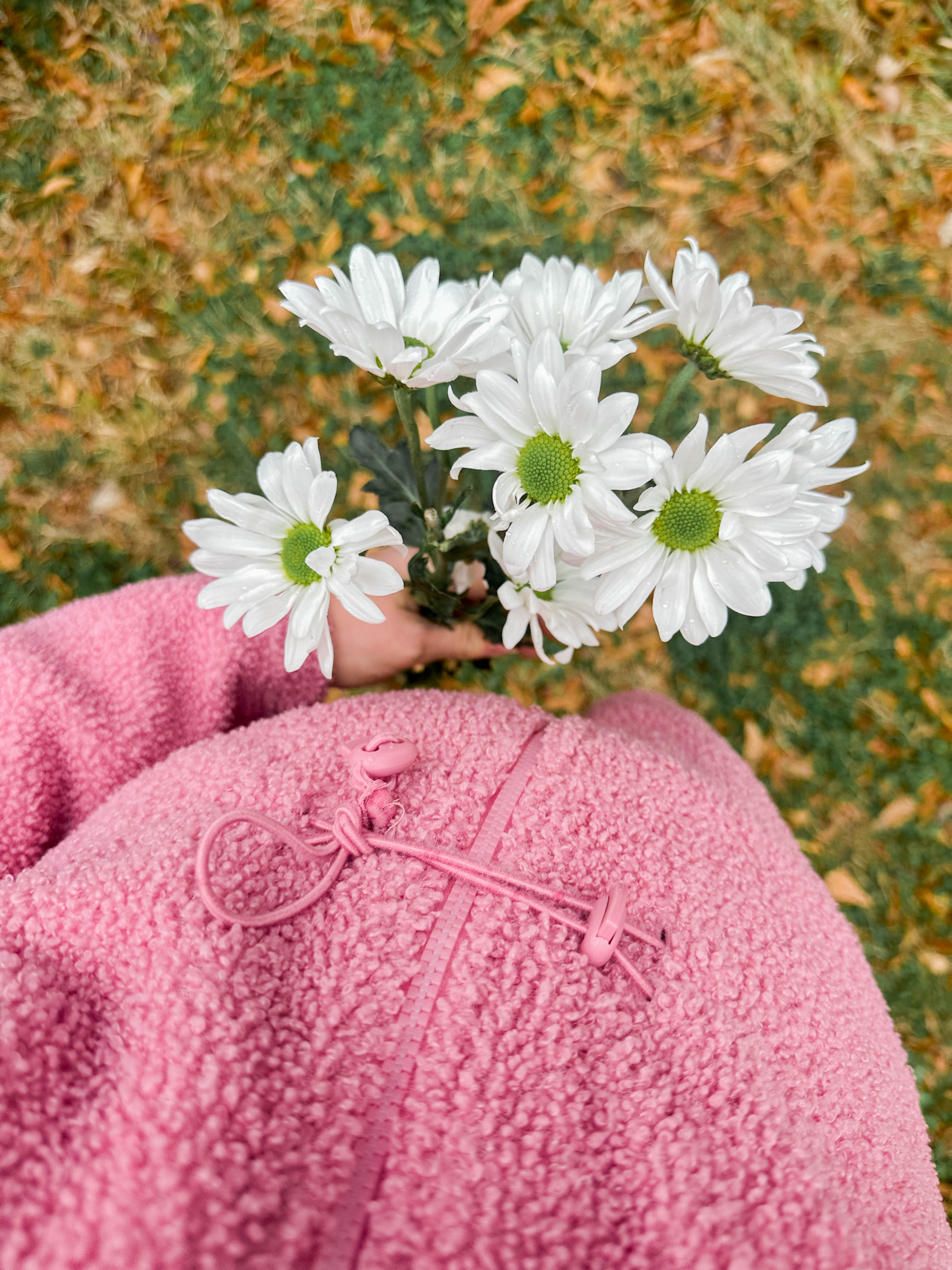 winter, mom life, pregnancy, january, things to do, fort mill, charlotte, cookies, baking, healthy, meals, dinner, what to eat, football season, salads, breakfast spots, matcha, coffee, parm, swim lessons, lifestyle blogger, motherhood blog, home cleaning, pad thai, life with a toddler, pregnancy updates