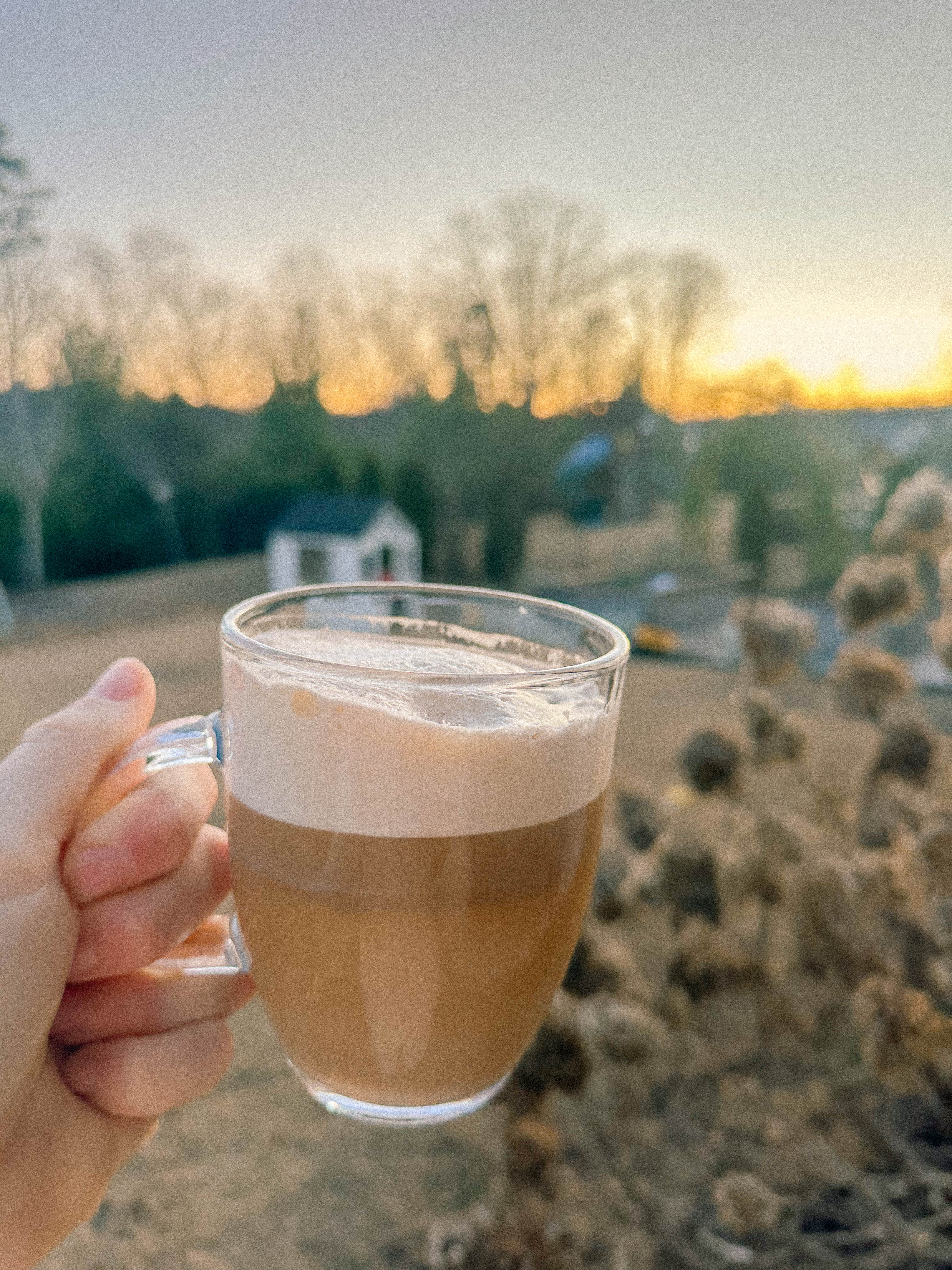 winter, mom life, pregnancy, january, things to do, fort mill, charlotte, cookies, baking, healthy, meals, dinner, what to eat, football season, salads, breakfast spots, matcha, coffee, parm, swim lessons, lifestyle blogger, motherhood blog, home cleaning, pad thai, life with a toddler, pregnancy updates