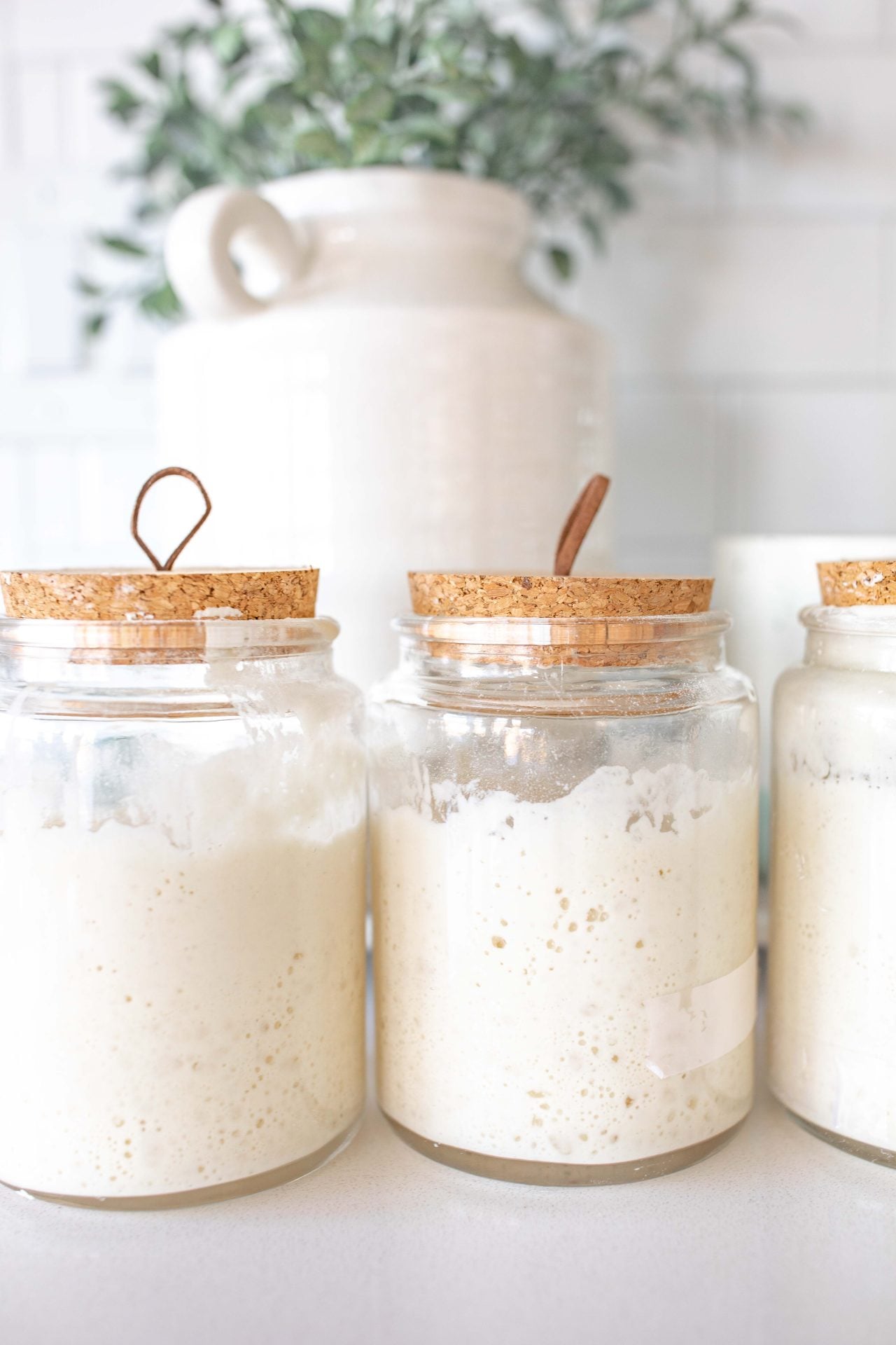sourdough bread for beginners