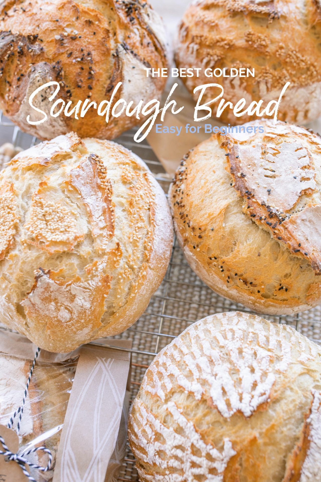 sourdough bread for beginners