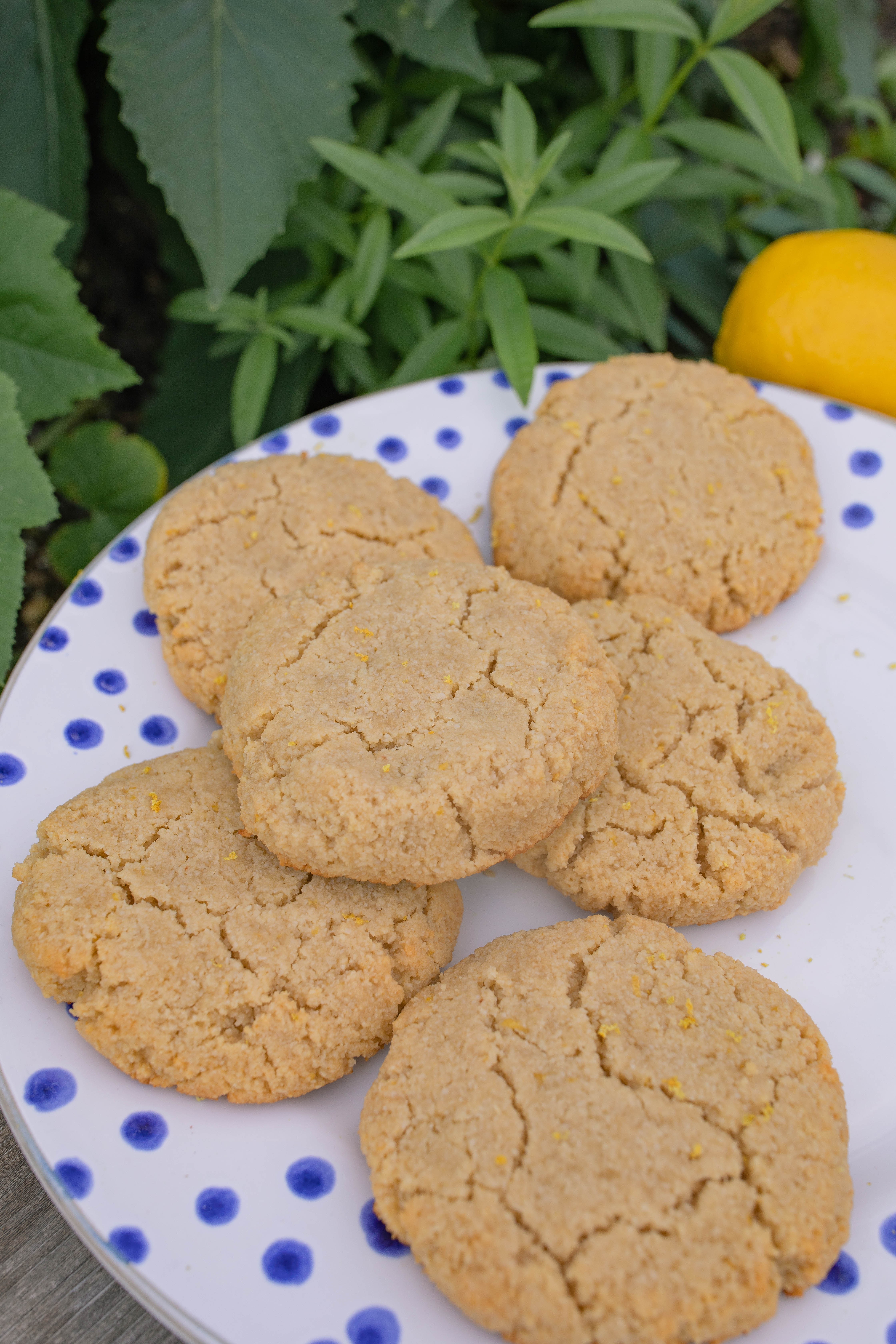lemon honey cookies, no added sugar, almond flour cookies, no refined sugar, low carb, gluten free, healthy dessert, easy recipe, lemons, summer, spring, refreshing recipe, almond cookies