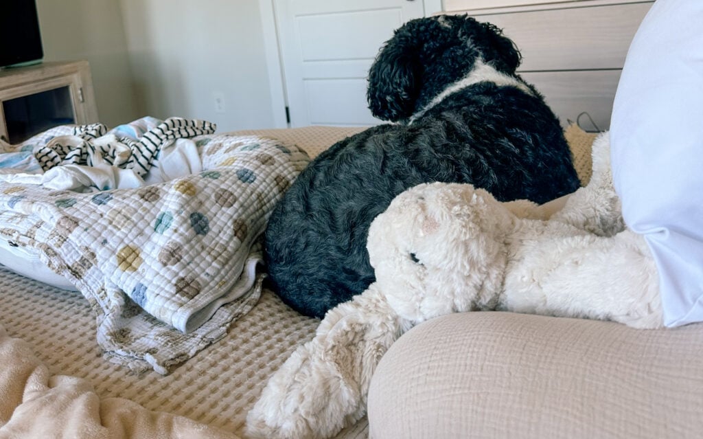 Birth blog, starbucks labor drink, birth story, second pregnancy, motherhood, mom life, lifestyle blog, labor, natural birth, boy mom