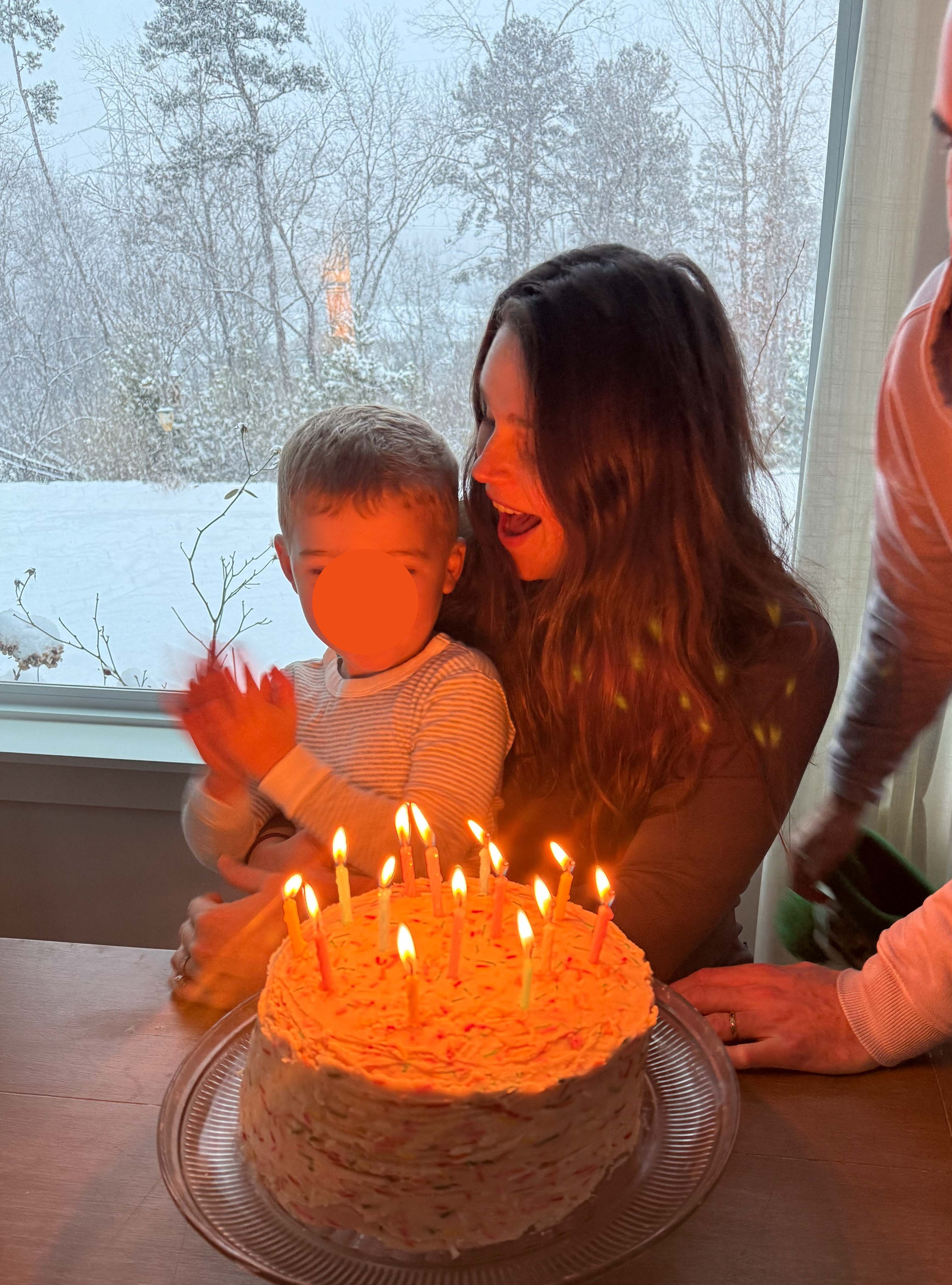 motherhood recap blog, lifestyle, mom life, toddler mom, south carolina, fort mill, swiss cheese, sherry chicken, healthy food, poppyseed kitchen, swim lessons, dinner ideas, motherhood, pregnancy, maternity, sourdough, birthday, cake, birds, food, snacks, snow day, snowing, tea, life