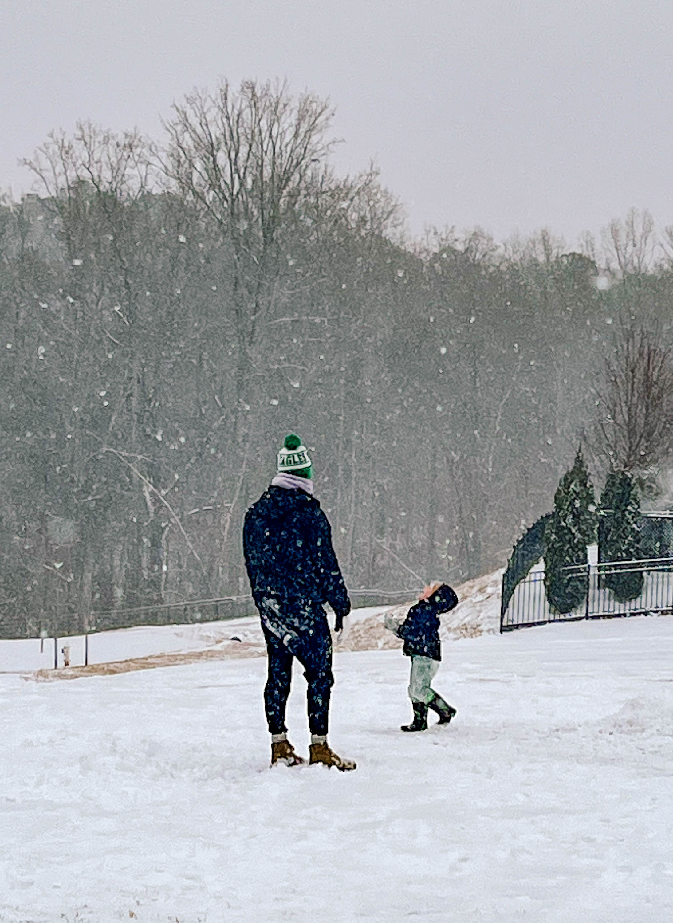 motherhood recap blog, lifestyle, mom life, toddler mom, south carolina, fort mill, swiss cheese, sherry chicken, healthy food, poppyseed kitchen, swim lessons, dinner ideas, motherhood, pregnancy, maternity, sourdough, birthday, cake, birds, food, snacks, snow day, snowing, tea, life