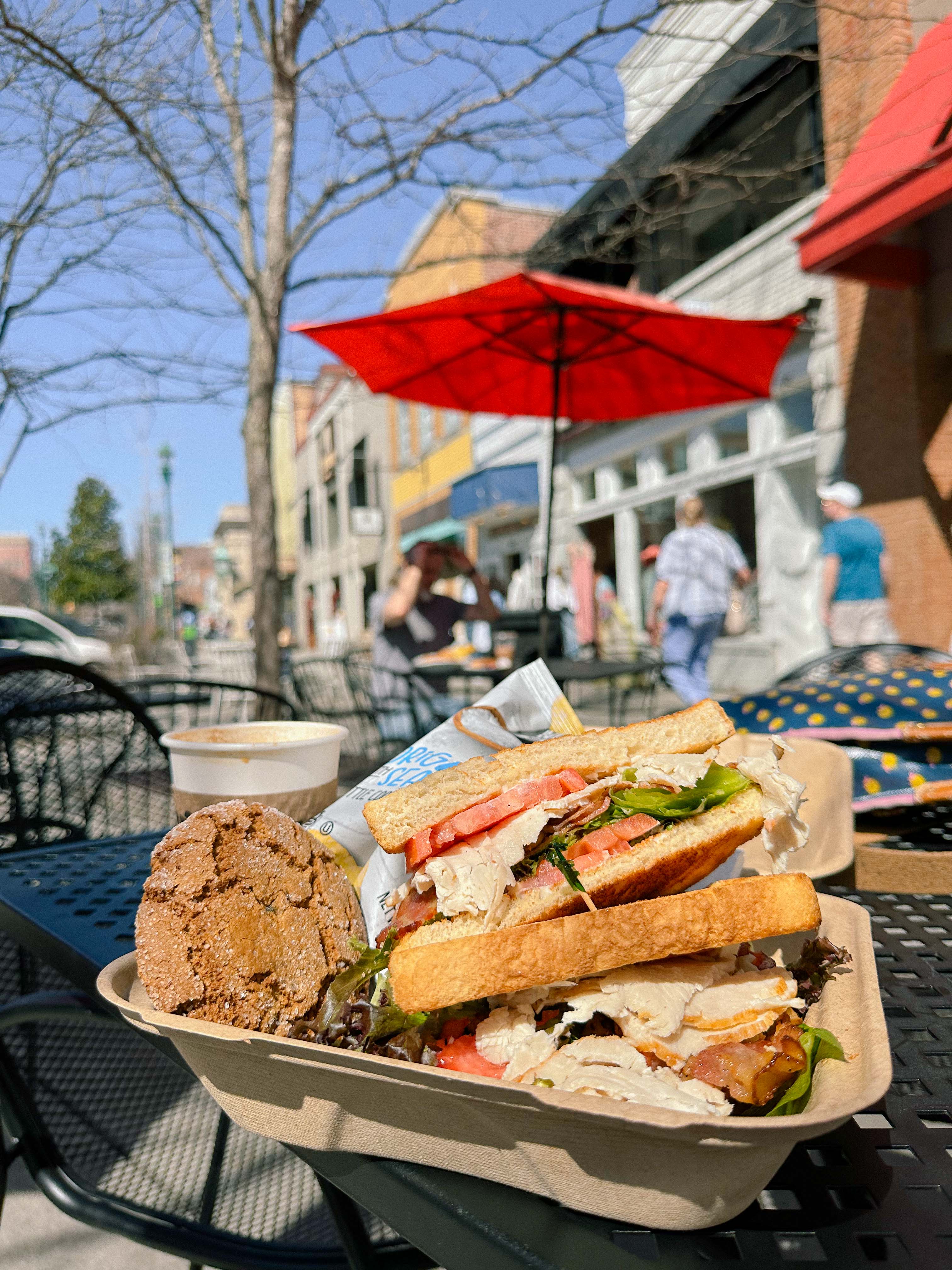 hendersonville, skylarana, mountains, getaway, best friend getaway, close to charlotte, spring trip, tulips, mountains, charcuterie, cake, pool, mountain cabin with pool, charlotte nc, mini trip