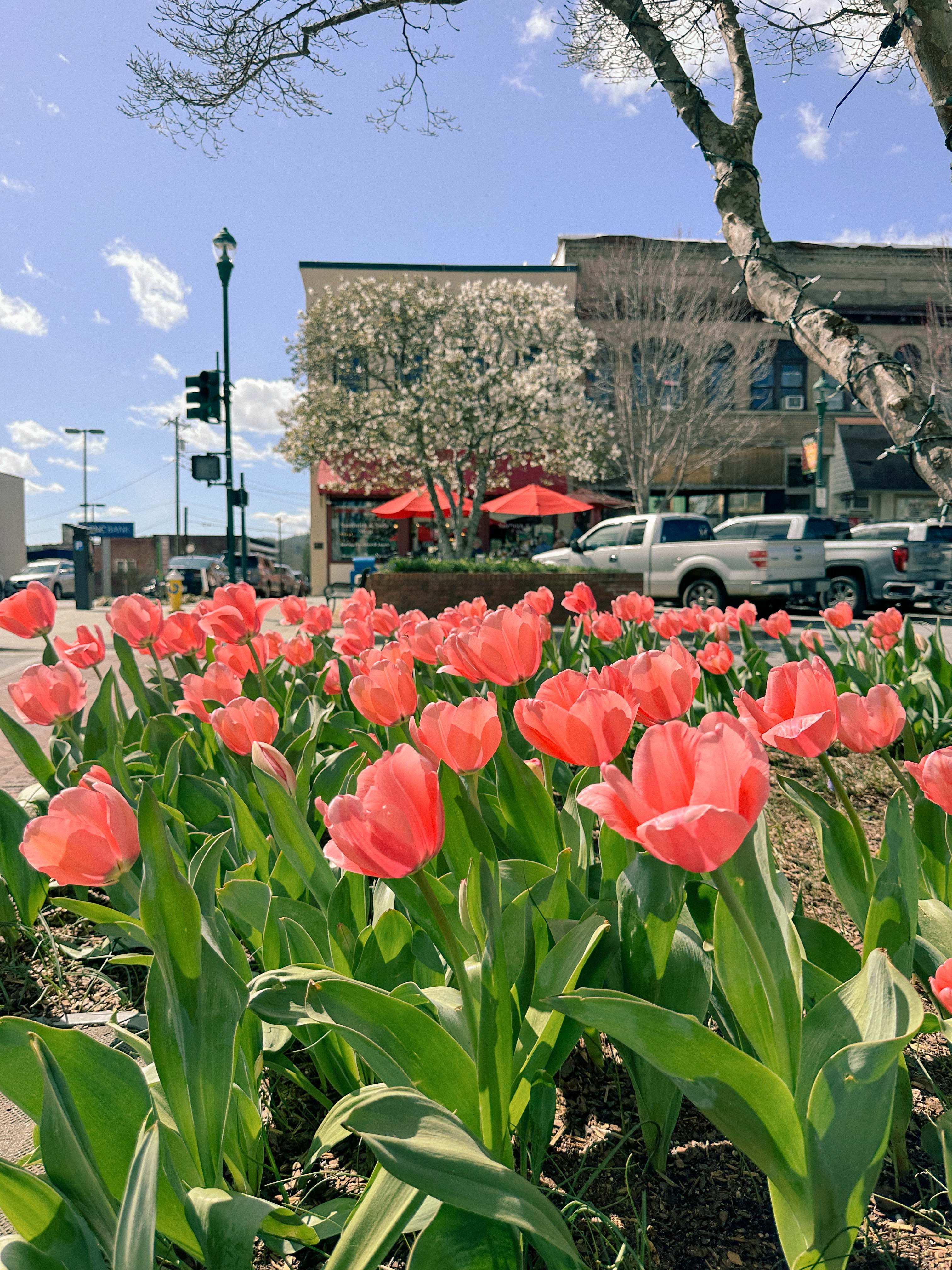 hendersonville, skylarana, mountains, getaway, best friend getaway, close to charlotte, spring trip, tulips, mountains, charcuterie, cake, pool, mountain cabin with pool, charlotte nc, mini trip