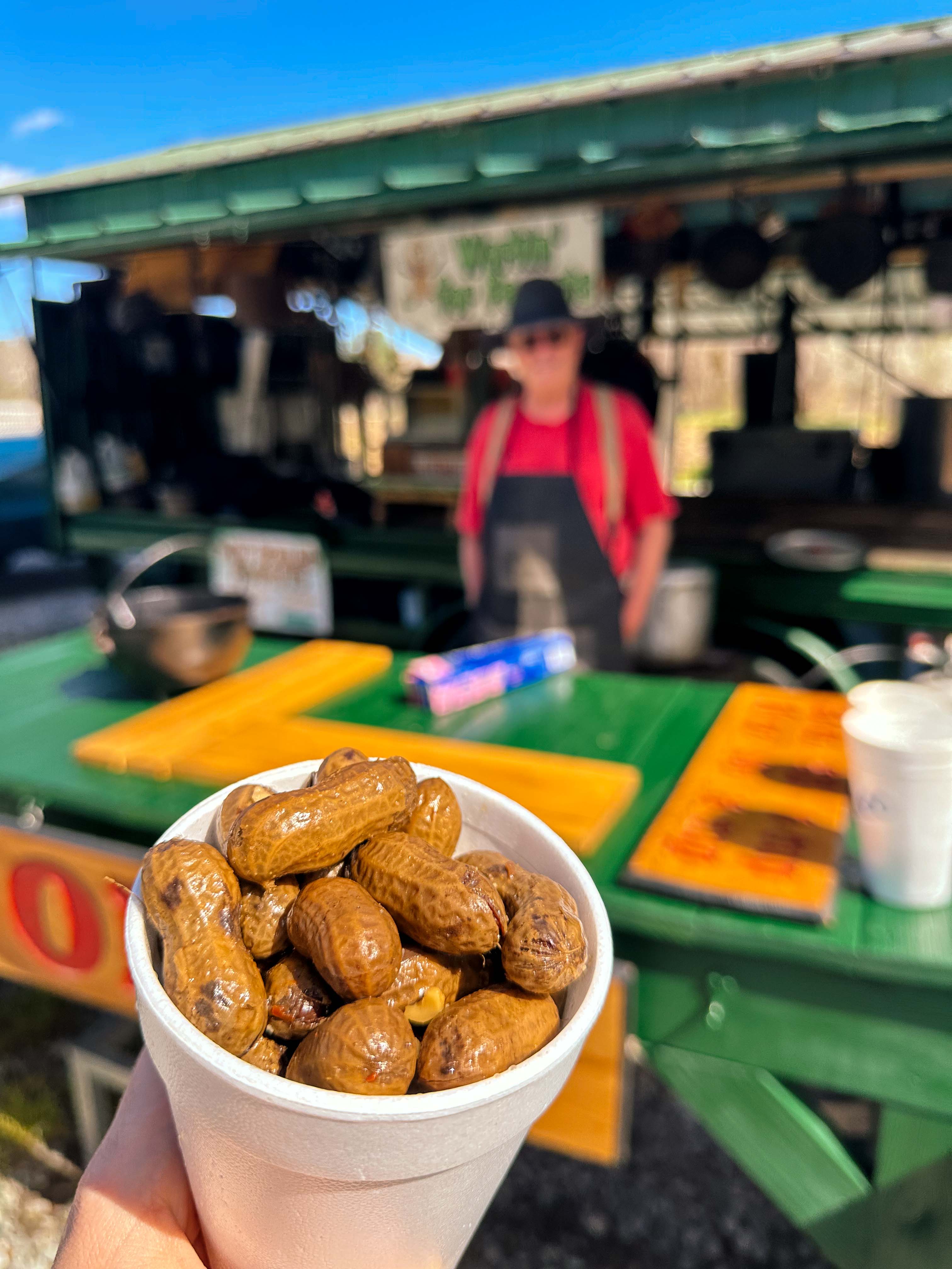 hendersonville, skylarana, mountains, getaway, best friend getaway, close to charlotte, spring trip, tulips, mountains, charcuterie, cake, pool, mountain cabin with pool, charlotte nc, mini trip