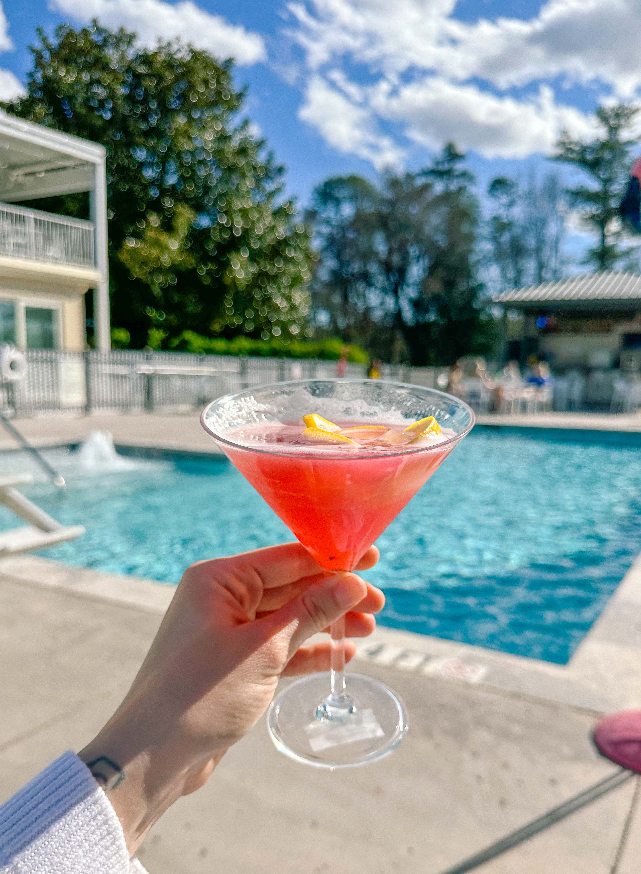 hendersonville, skylarana, mountains, getaway, best friend getaway, close to charlotte, spring trip, tulips, mountains, charcuterie, cake, pool, mountain cabin with pool, charlotte nc, mini trip