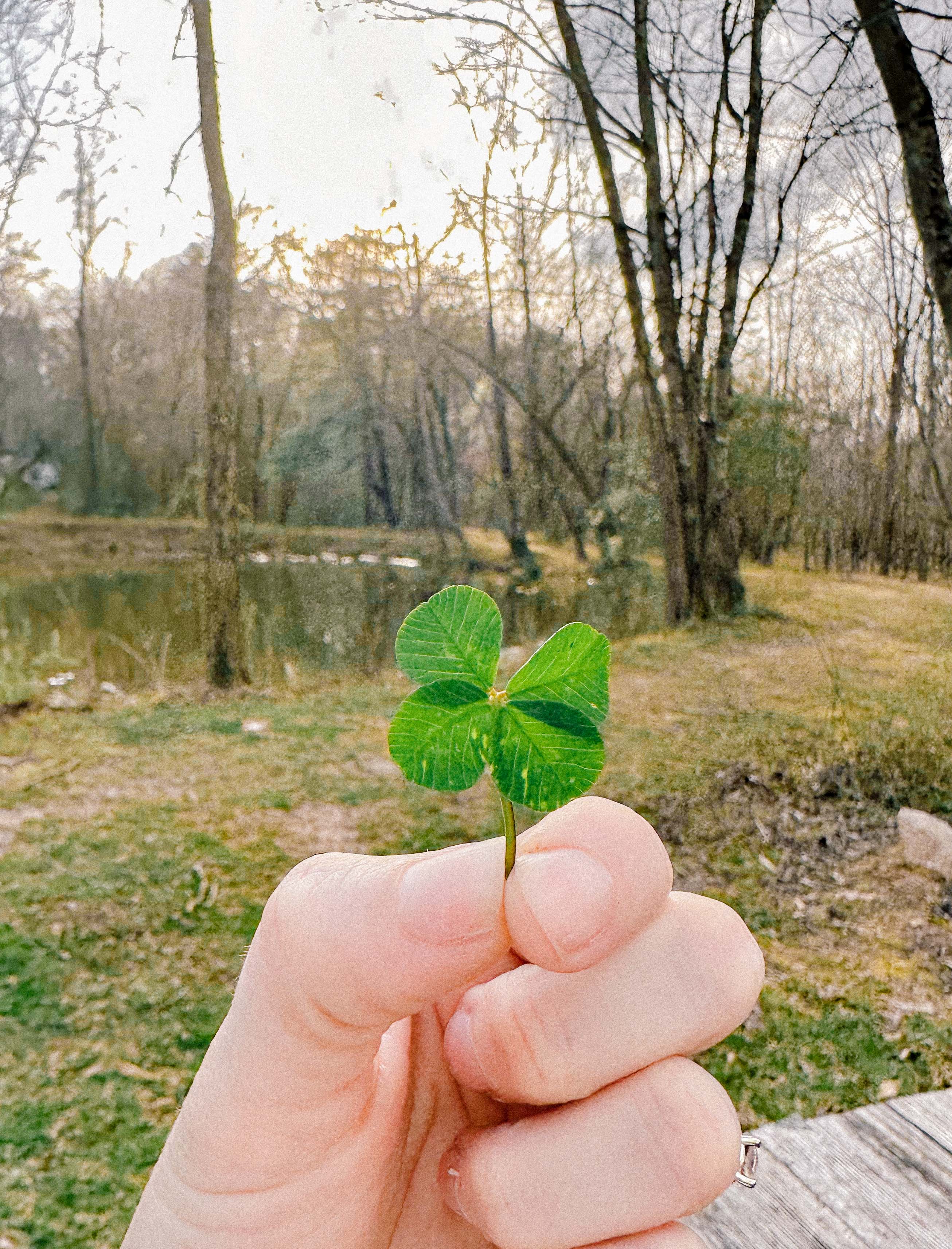 hendersonville, skylarana, mountains, getaway, best friend getaway, close to charlotte, spring trip, tulips, mountains, charcuterie, cake, pool, mountain cabin with pool, charlotte nc, mini trip