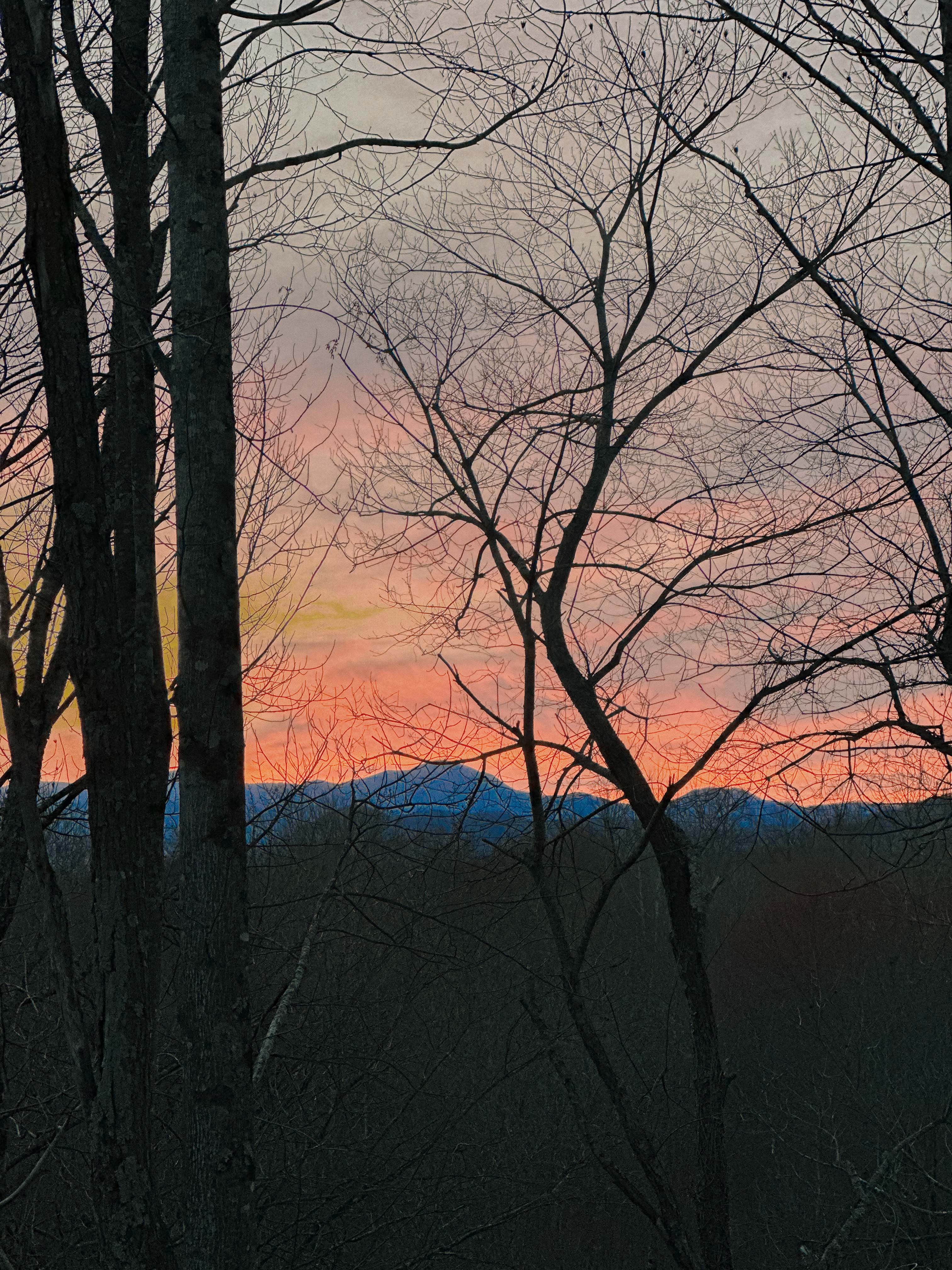 hendersonville, skylarana, mountains, getaway, best friend getaway, close to charlotte, spring trip, tulips, mountains, charcuterie, cake, pool, mountain cabin with pool, charlotte nc, mini trip