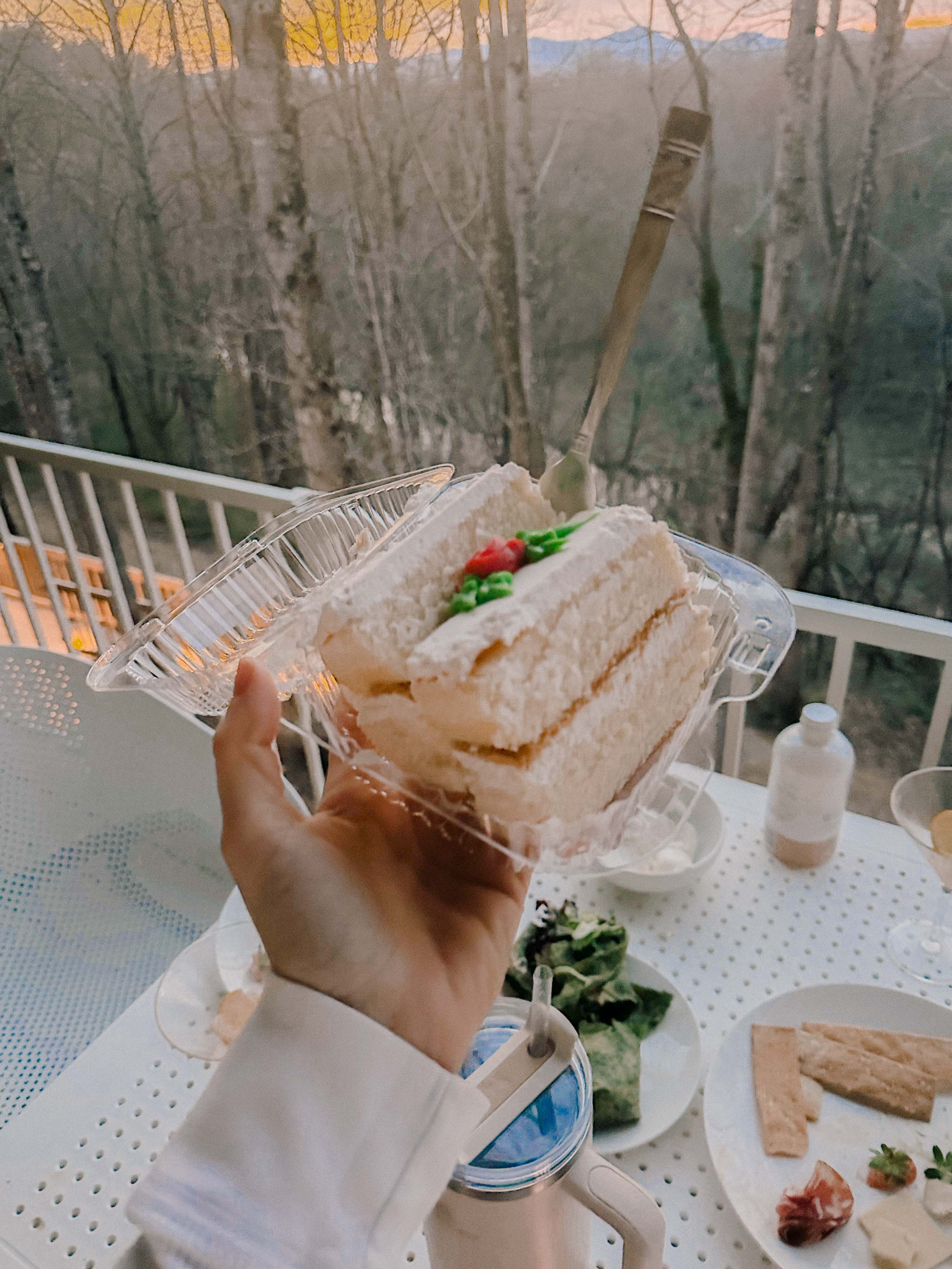 hendersonville, skylarana, mountains, getaway, best friend getaway, close to charlotte, spring trip, tulips, mountains, charcuterie, cake, pool, mountain cabin with pool, charlotte nc, mini trip