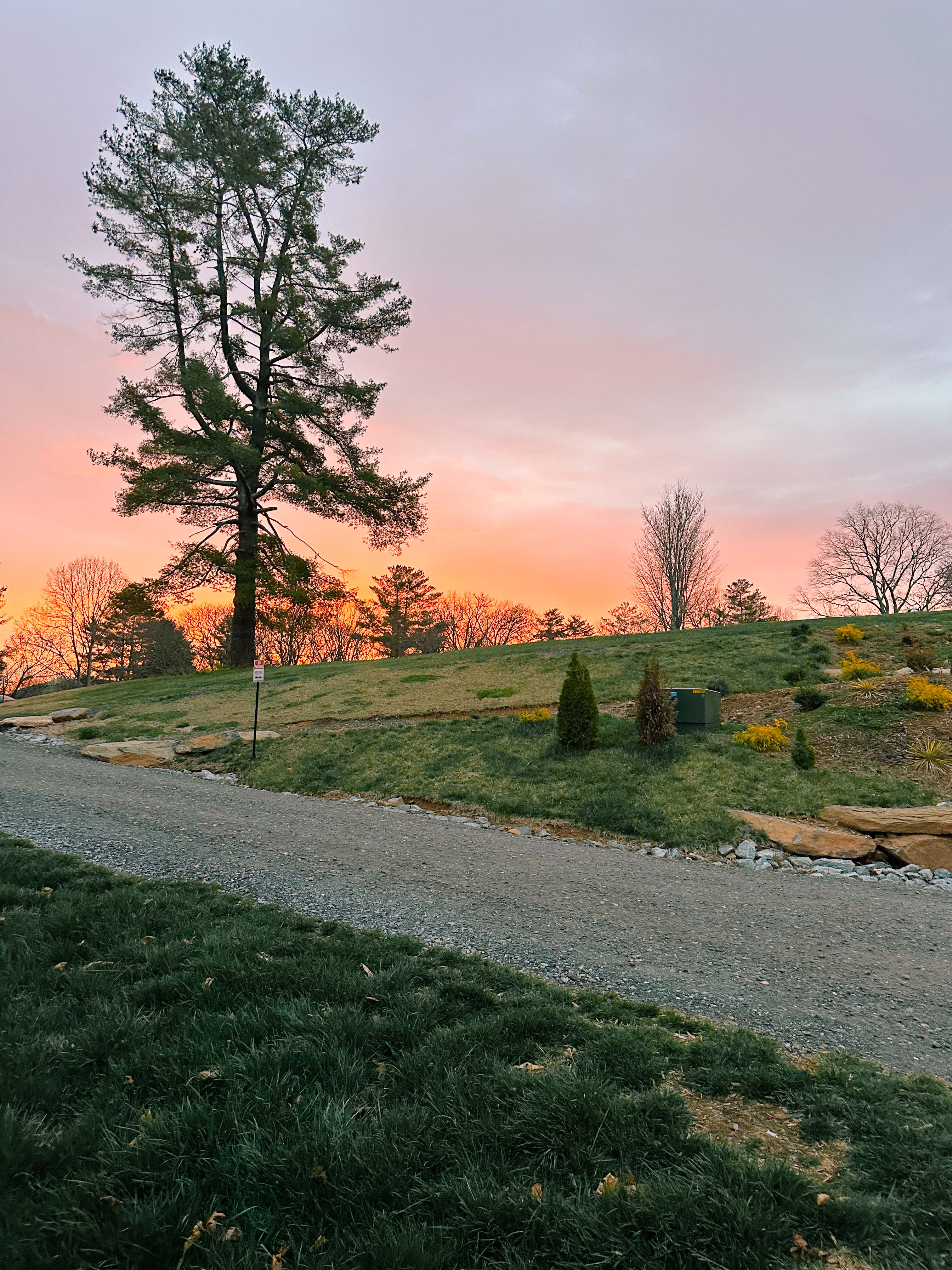 hendersonville, skylarana, mountains, getaway, best friend getaway, close to charlotte, spring trip, tulips, mountains, charcuterie, cake, pool, mountain cabin with pool, charlotte nc, mini trip