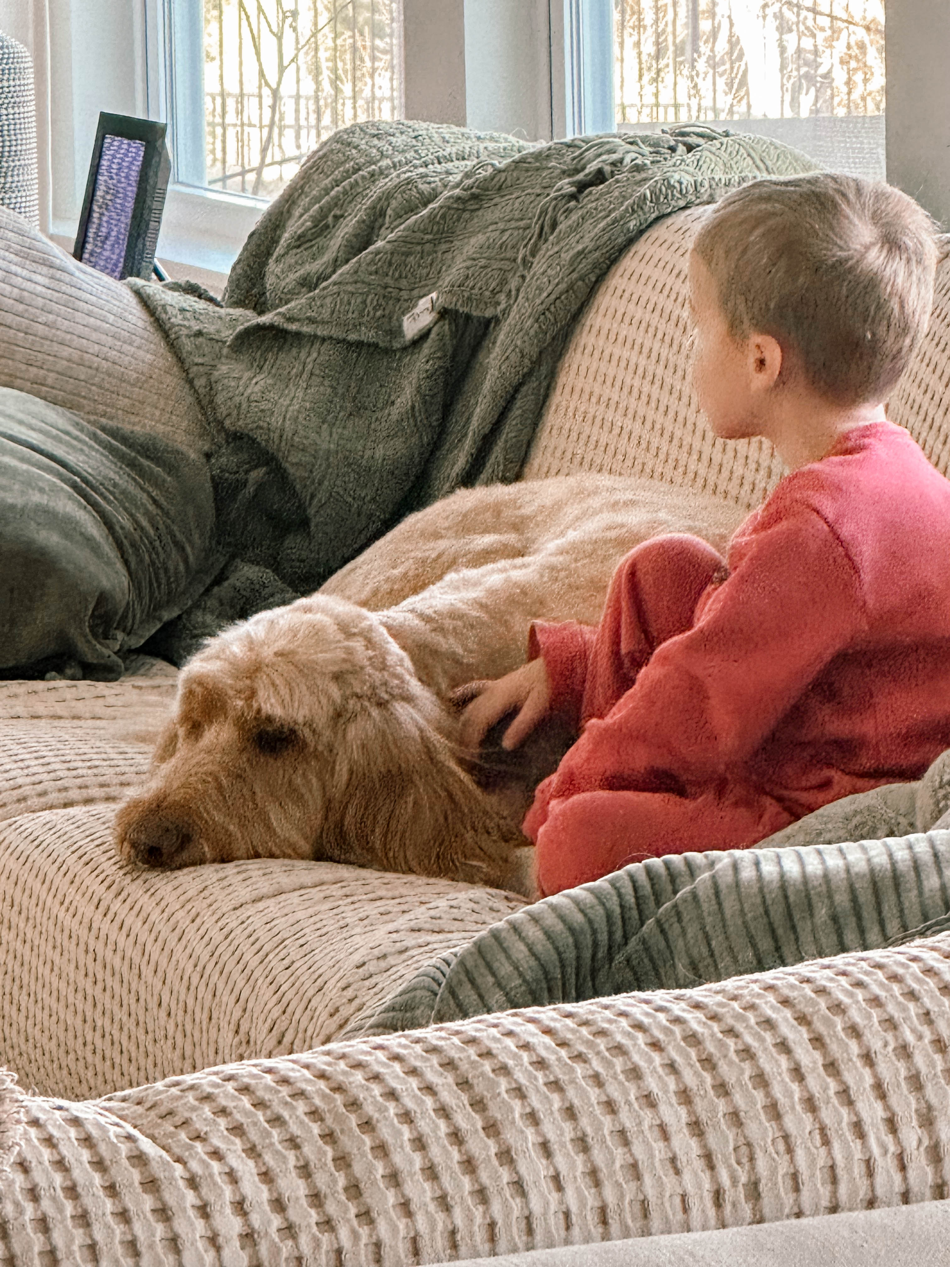 motherhood recap blog, lifestyle, mom life, toddler mom, south carolina, fort mill, swiss cheese, sherry chicken, healthy food, poppyseed kitchen, swim lessons, dinner ideas, motherhood, pregnancy, maternity, sourdough, birthday, cake, birds, food, snacks, snow day, snowing, tea, life