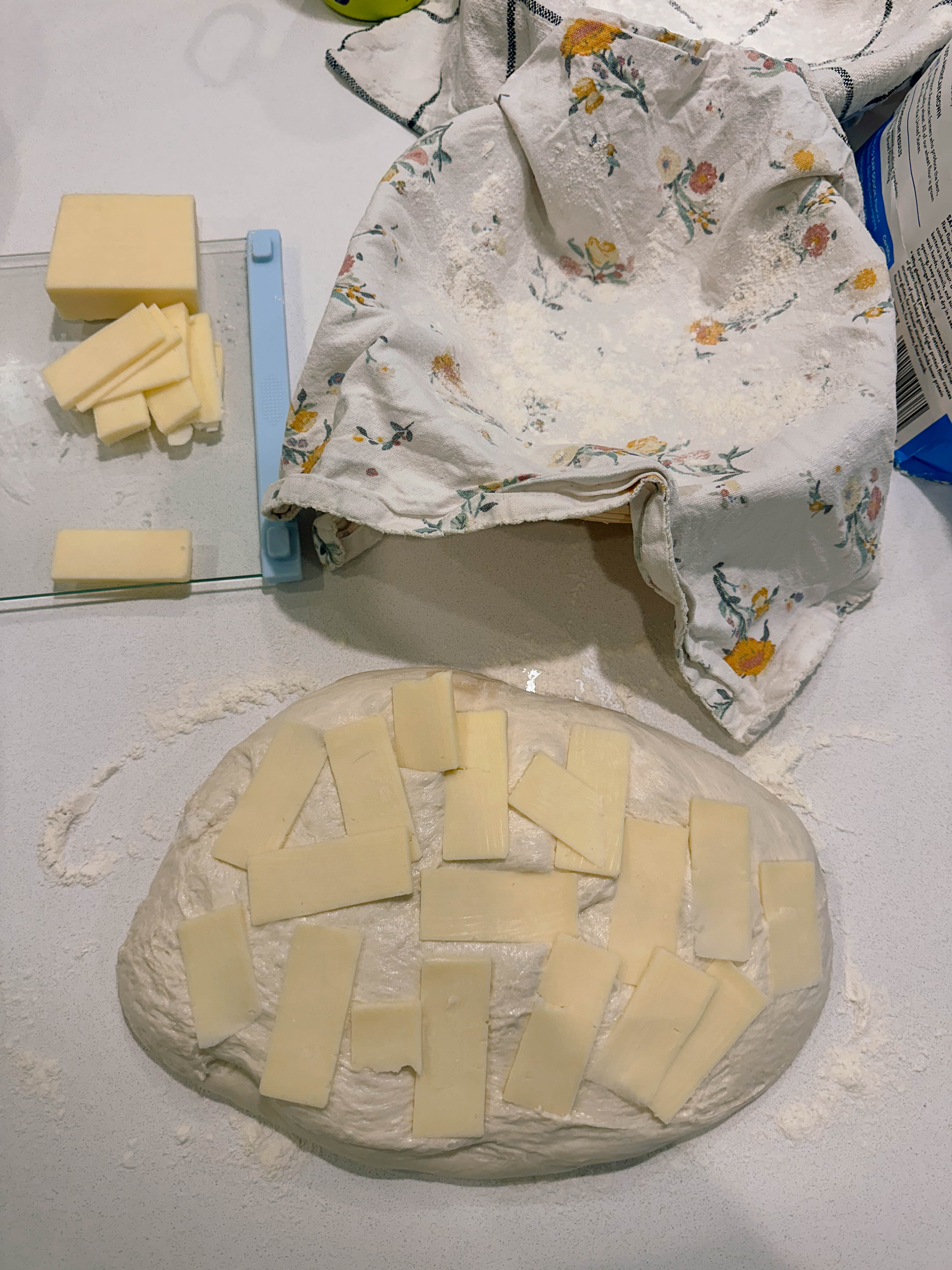 motherhood recap blog, lifestyle, mom life, toddler mom, south carolina, fort mill, swiss cheese, sherry chicken, healthy food, poppyseed kitchen, swim lessons, dinner ideas, motherhood, pregnancy, maternity, sourdough, birthday, cake, birds, food, snacks, snow day, snowing, tea, life