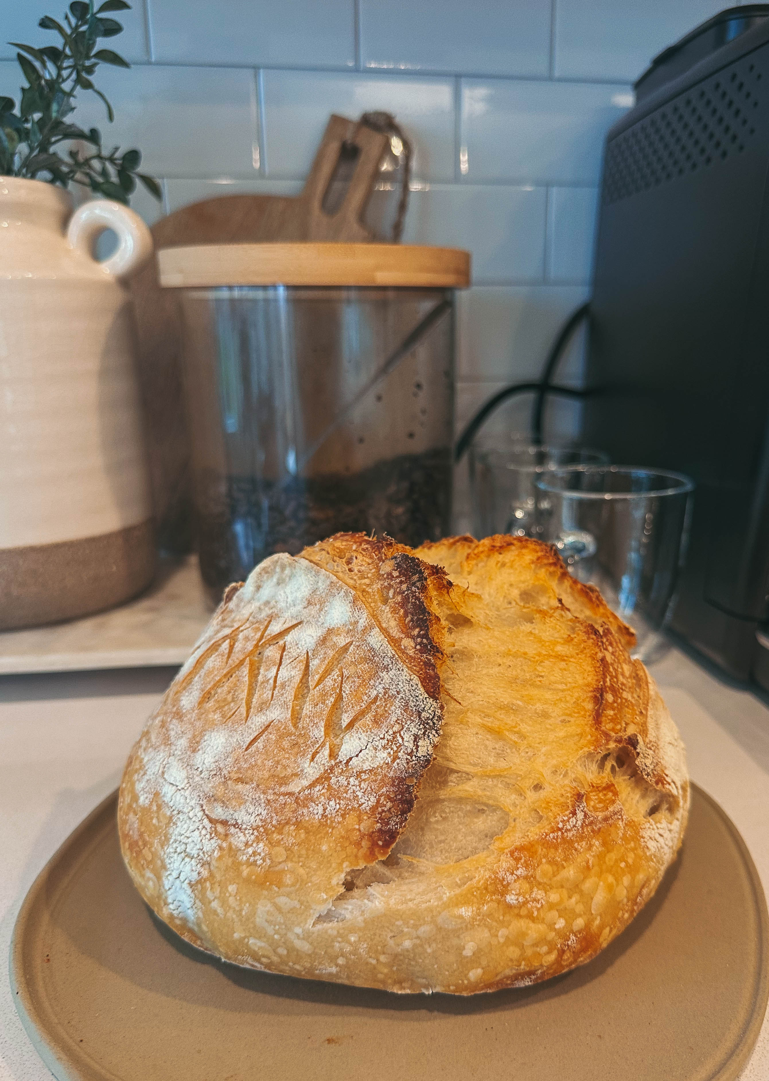 motherhood recap blog, lifestyle, mom life, toddler mom, south carolina, fort mill, swiss cheese, sherry chicken, healthy food, poppyseed kitchen, swim lessons, dinner ideas, motherhood, pregnancy, maternity, sourdough, birthday, cake, birds, food, snacks, snow day, snowing, tea, life