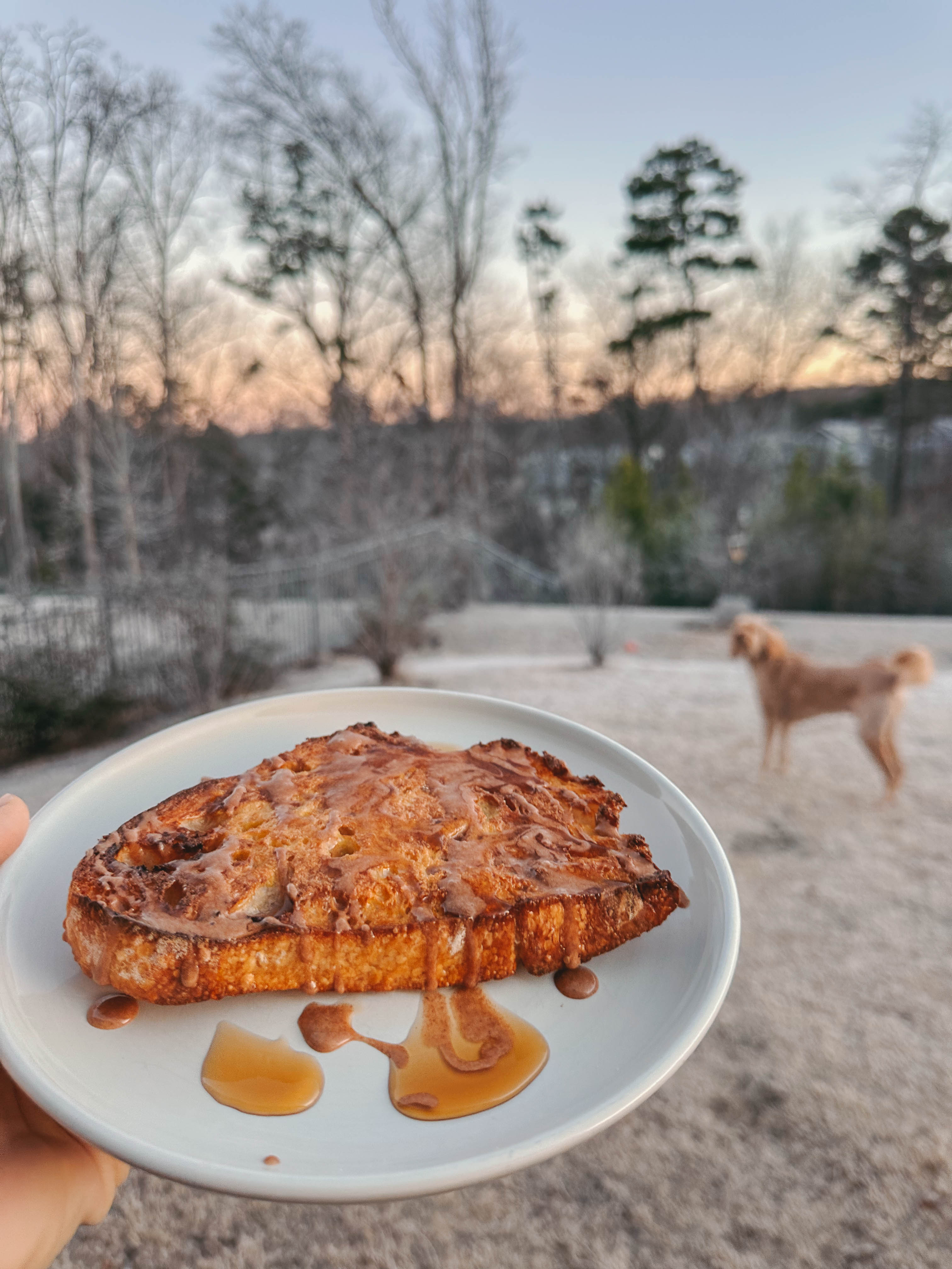 motherhood recap blog, lifestyle, mom life, toddler mom, south carolina, fort mill, swiss cheese, sherry chicken, healthy food, poppyseed kitchen, swim lessons, dinner ideas, motherhood, pregnancy, maternity, sourdough, birthday, cake, birds, food, snacks, snow day, snowing, tea, life