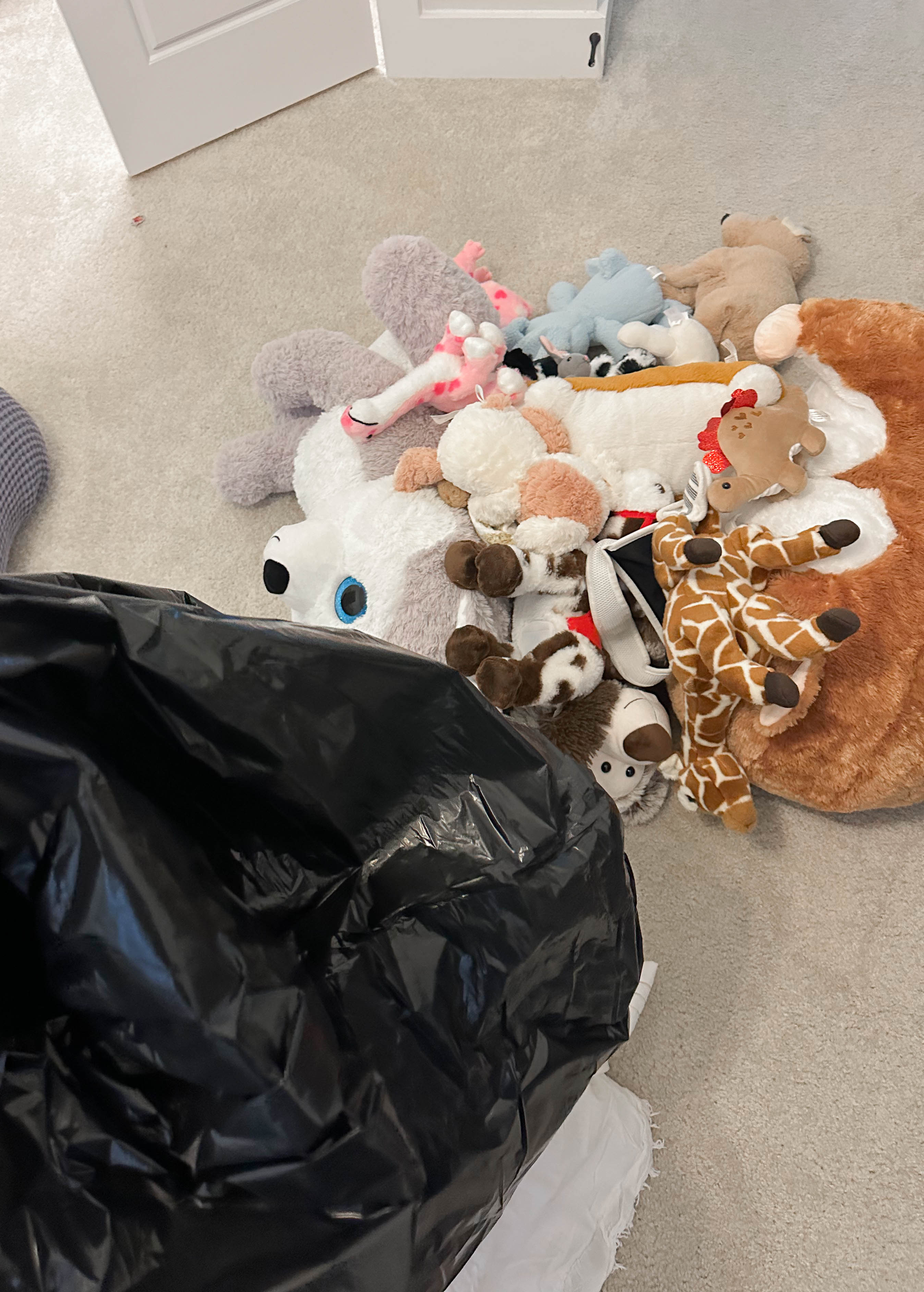 motherhood recap blog, lifestyle, mom life, toddler mom, south carolina, fort mill, swiss cheese, sherry chicken, healthy food, poppyseed kitchen, swim lessons, dinner ideas, motherhood, pregnancy, maternity, sourdough, birthday, cake, birds, food, snacks, snow day, snowing, tea, life