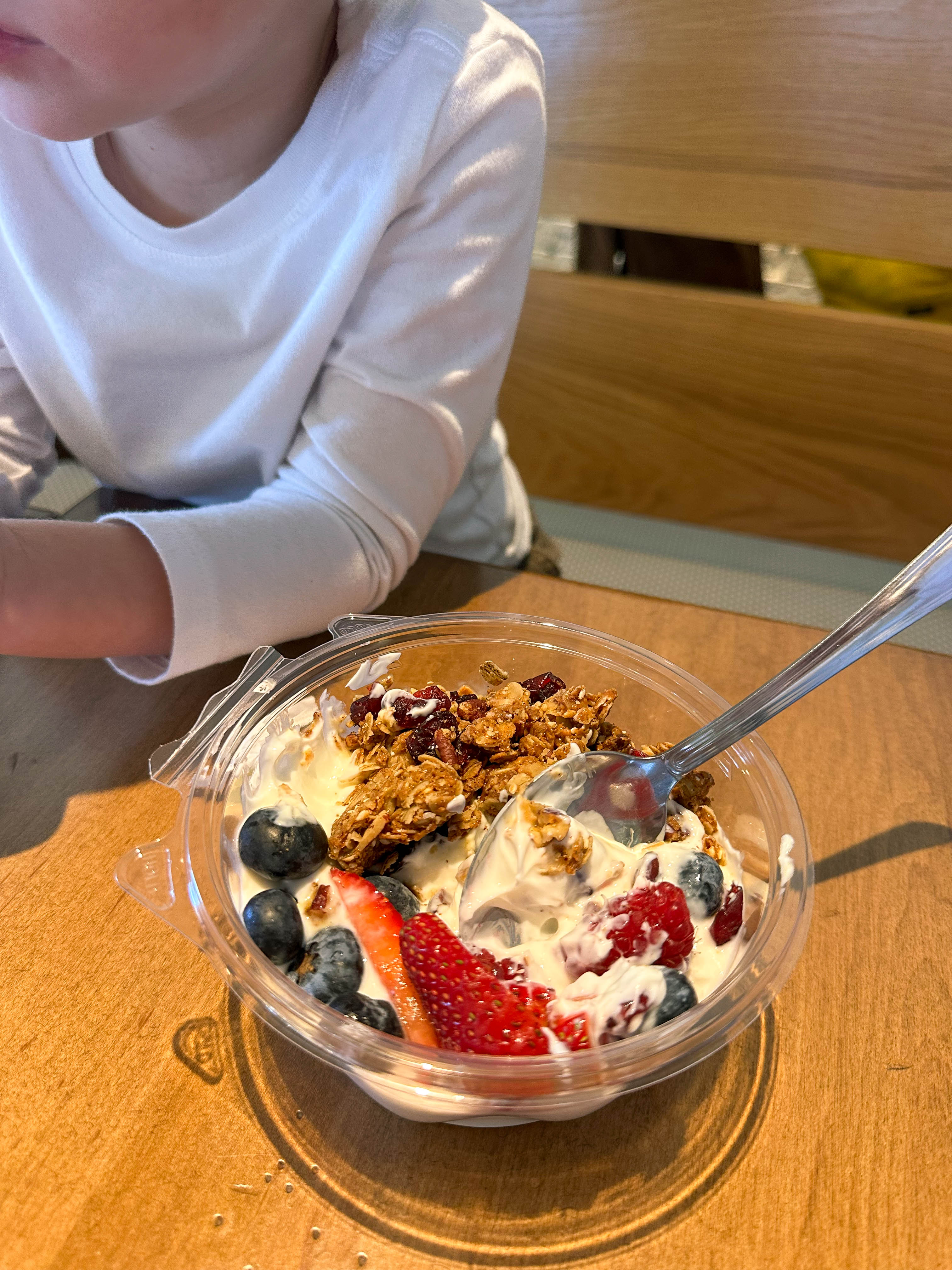 motherhood recap blog, lifestyle, mom life, toddler mom, south carolina, fort mill, swiss cheese, sherry chicken, healthy food, poppyseed kitchen, swim lessons, dinner ideas, motherhood, pregnancy, maternity, sourdough, birthday, cake, birds, food, snacks, snow day, snowing, tea, life