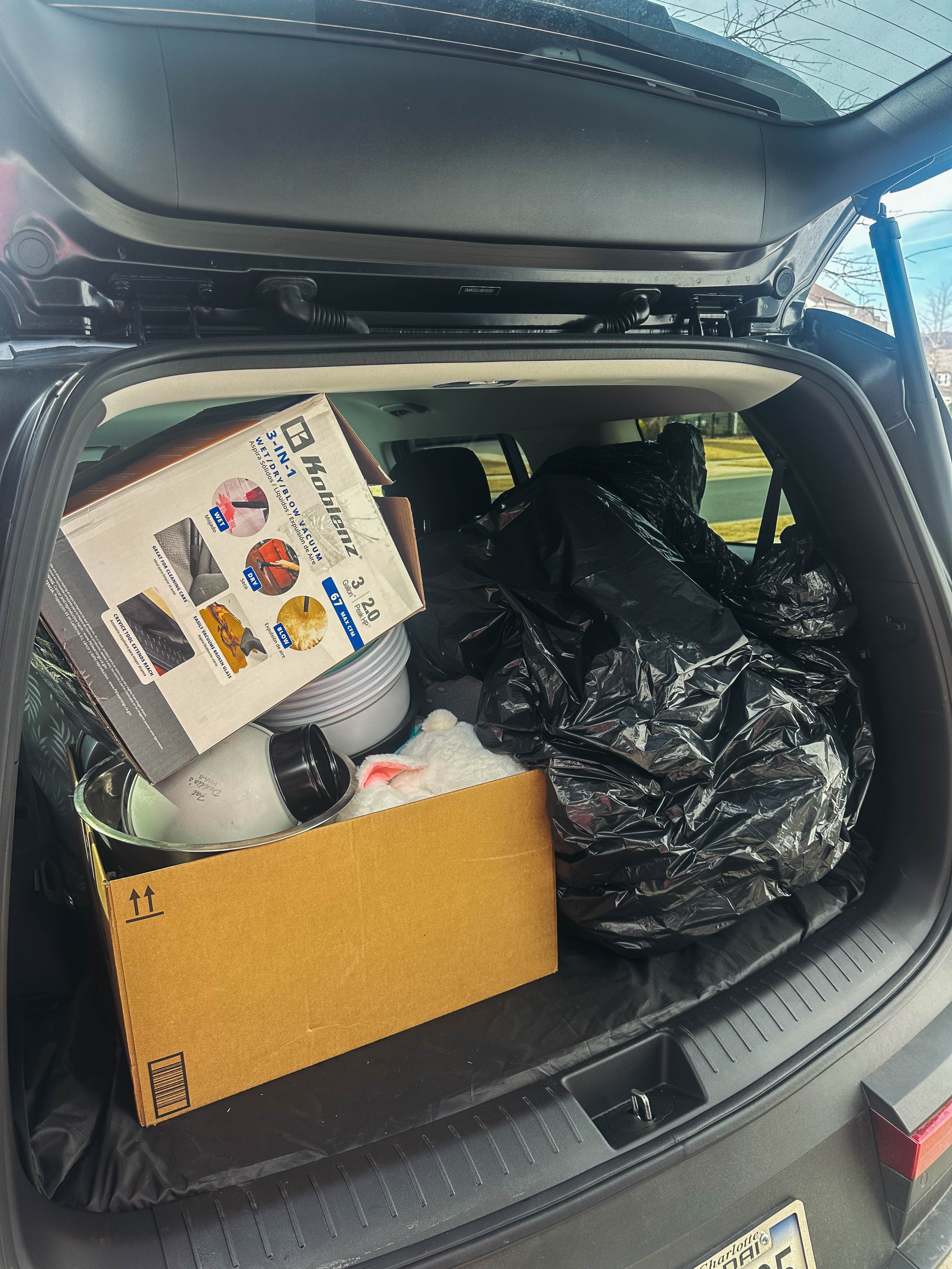 motherhood recap blog, lifestyle, mom life, toddler mom, south carolina, fort mill, swiss cheese, sherry chicken, healthy food, poppyseed kitchen, swim lessons, dinner ideas, motherhood, pregnancy, maternity, sourdough, birthday, cake, birds, food, snacks, snow day, snowing, tea, life