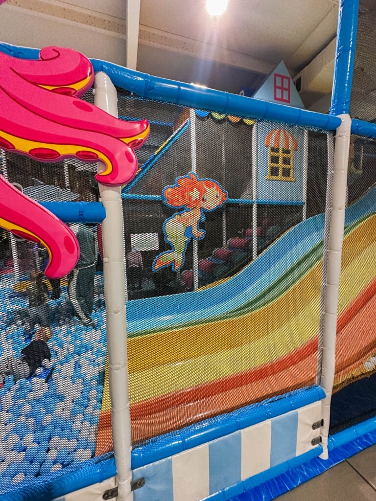 motherhood recap blog, lifestyle, mom life, toddler mom, south carolina, fort mill, swiss cheese, sherry chicken, healthy food, poppyseed kitchen, swim lessons, dinner ideas, motherhood, pregnancy, maternity, sourdough, birthday, cake, birds, food, snacks, snow day, snowing, tea, life