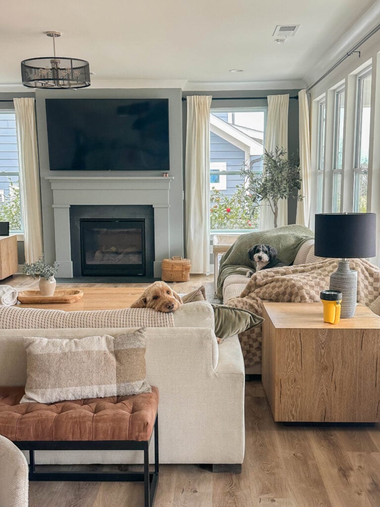 motherhood recap blog, lifestyle, mom life, toddler mom, south carolina, fort mill, swiss cheese, sherry chicken, healthy food, poppyseed kitchen, swim lessons, dinner ideas, motherhood, pregnancy, maternity, sourdough, birthday, cake, birds, food, snacks, snow day, snowing, tea, life