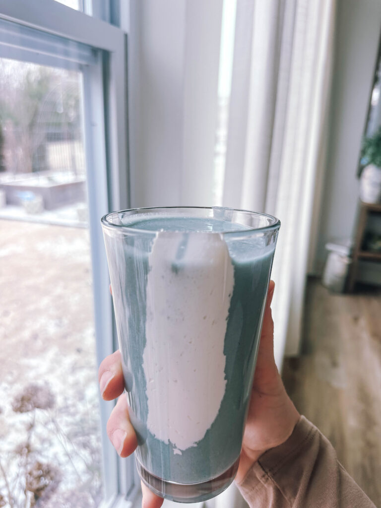 motherhood recap blog, lifestyle, mom life, toddler mom, south carolina, fort mill, swiss cheese, sherry chicken, healthy food, poppyseed kitchen, swim lessons, dinner ideas, motherhood, pregnancy, maternity, sourdough, birthday, cake, birds, food, snacks, snow day, snowing, tea, life