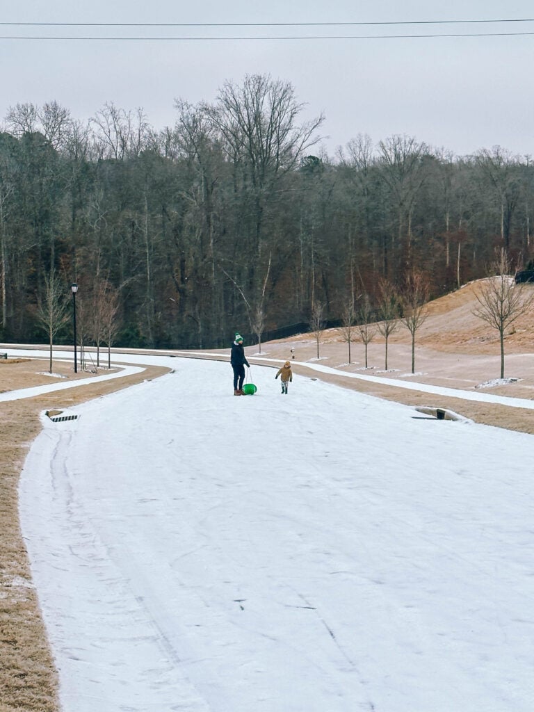 motherhood recap blog, lifestyle, mom life, toddler mom, south carolina, fort mill, swiss cheese, sherry chicken, healthy food, poppyseed kitchen, swim lessons, dinner ideas, motherhood, pregnancy, maternity, sourdough, birthday, cake, birds, food, snacks, snow day, snowing, tea, life