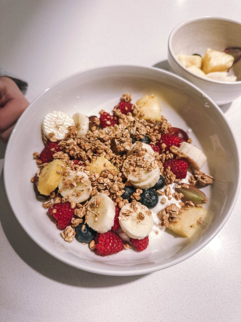 motherhood recap blog, lifestyle, mom life, toddler mom, south carolina, fort mill, swiss cheese, sherry chicken, healthy food, poppyseed kitchen, swim lessons, dinner ideas, motherhood, pregnancy, maternity, sourdough, birthday, cake, birds, food, snacks, snow day, snowing, tea, life