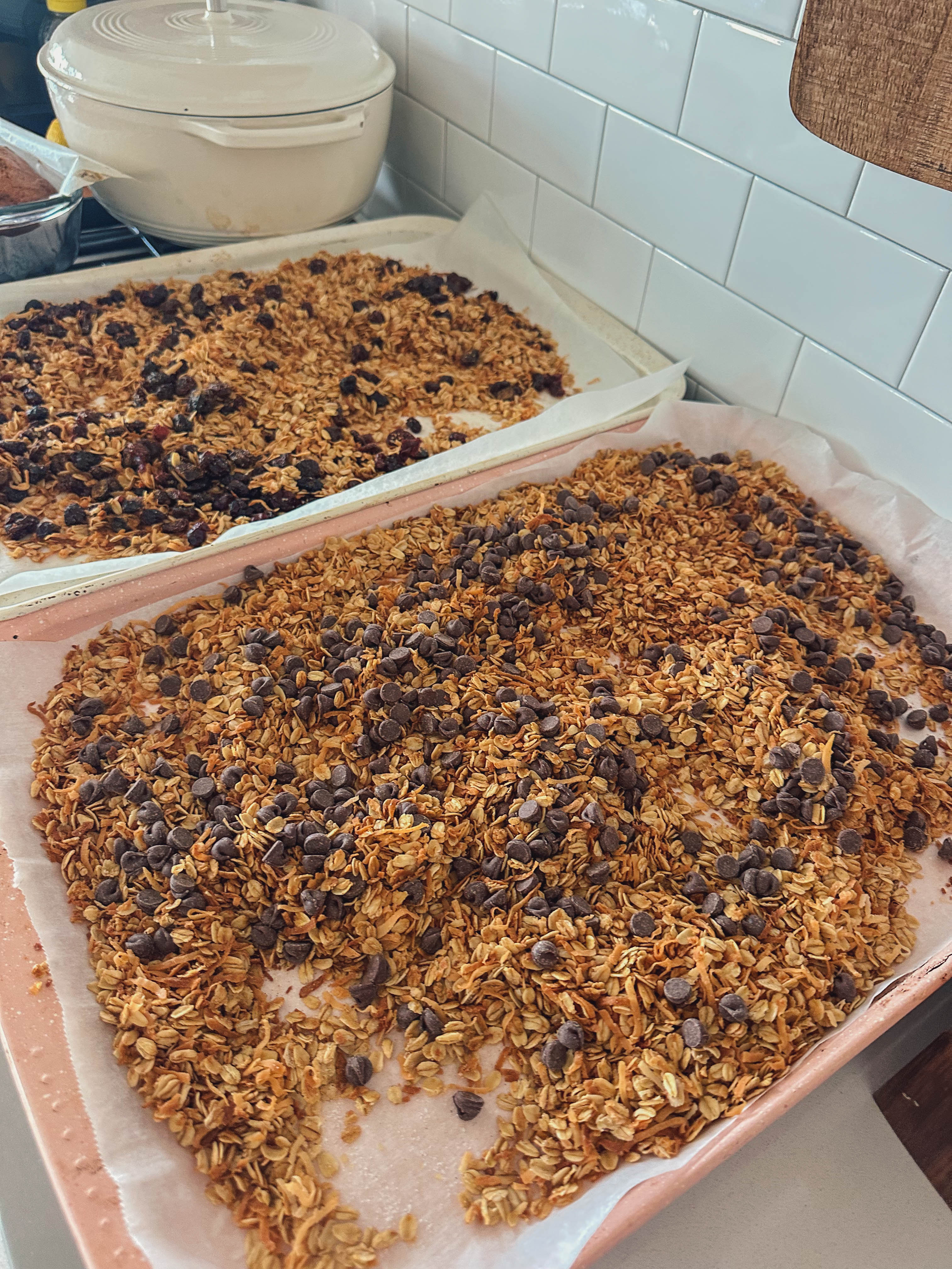 motherhood recap blog, lifestyle, mom life, toddler mom, south carolina, fort mill, swiss cheese, sherry chicken, healthy food, poppyseed kitchen, swim lessons, dinner ideas, motherhood, pregnancy, maternity, sourdough, birthday, cake, birds, food, snacks, snow day, snowing, tea, life