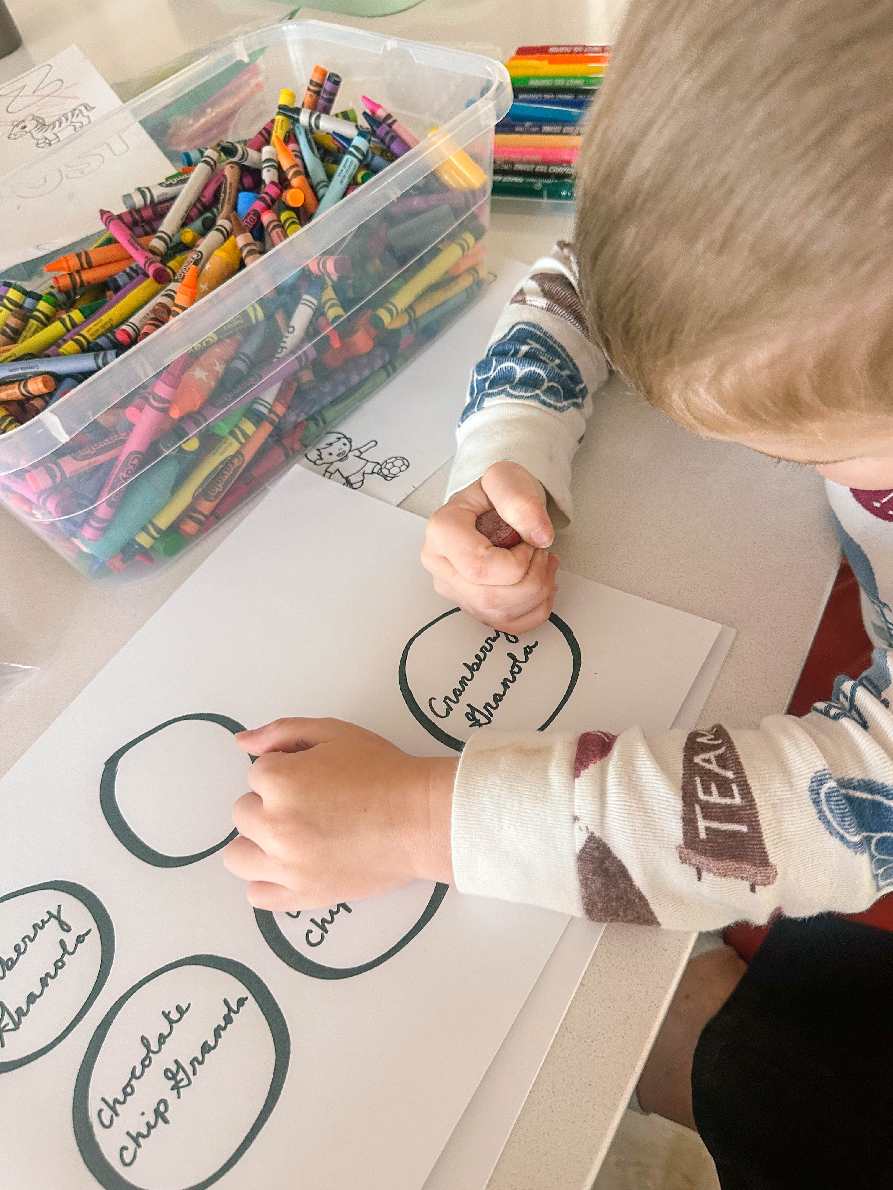 motherhood recap blog, lifestyle, mom life, toddler mom, south carolina, fort mill, swiss cheese, sherry chicken, healthy food, poppyseed kitchen, swim lessons, dinner ideas, motherhood, pregnancy, maternity, sourdough, birthday, cake, birds, food, snacks, snow day, snowing, tea, life