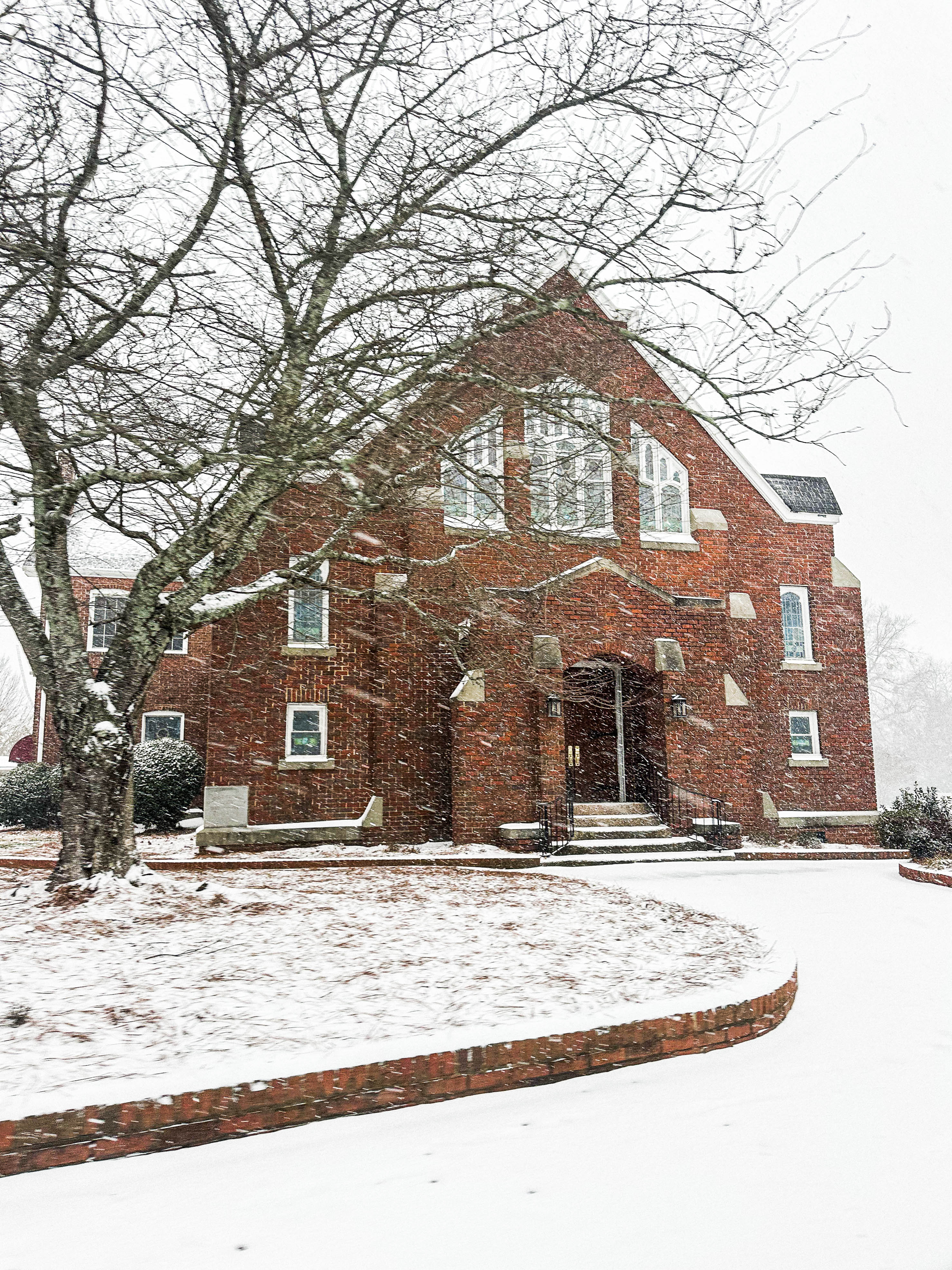 motherhood recap blog, lifestyle, mom life, toddler mom, south carolina, fort mill, swiss cheese, sherry chicken, healthy food, poppyseed kitchen, swim lessons, dinner ideas, motherhood, pregnancy, maternity, sourdough, birthday, cake, birds, food, snacks, snow day, snowing, tea, life