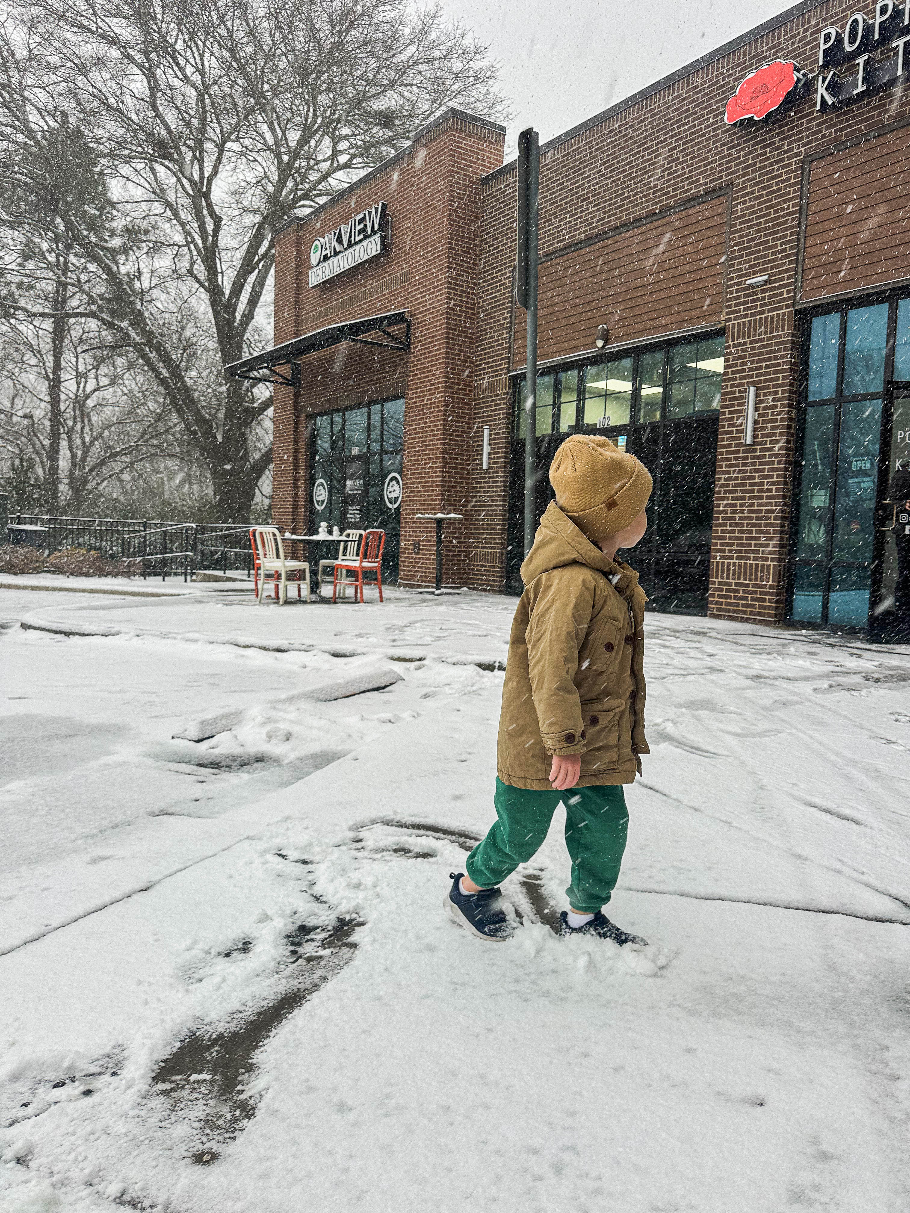 motherhood recap blog, lifestyle, mom life, toddler mom, south carolina, fort mill, swiss cheese, sherry chicken, healthy food, poppyseed kitchen, swim lessons, dinner ideas, motherhood, pregnancy, maternity, sourdough, birthday, cake, birds, food, snacks, snow day, snowing, tea, life
