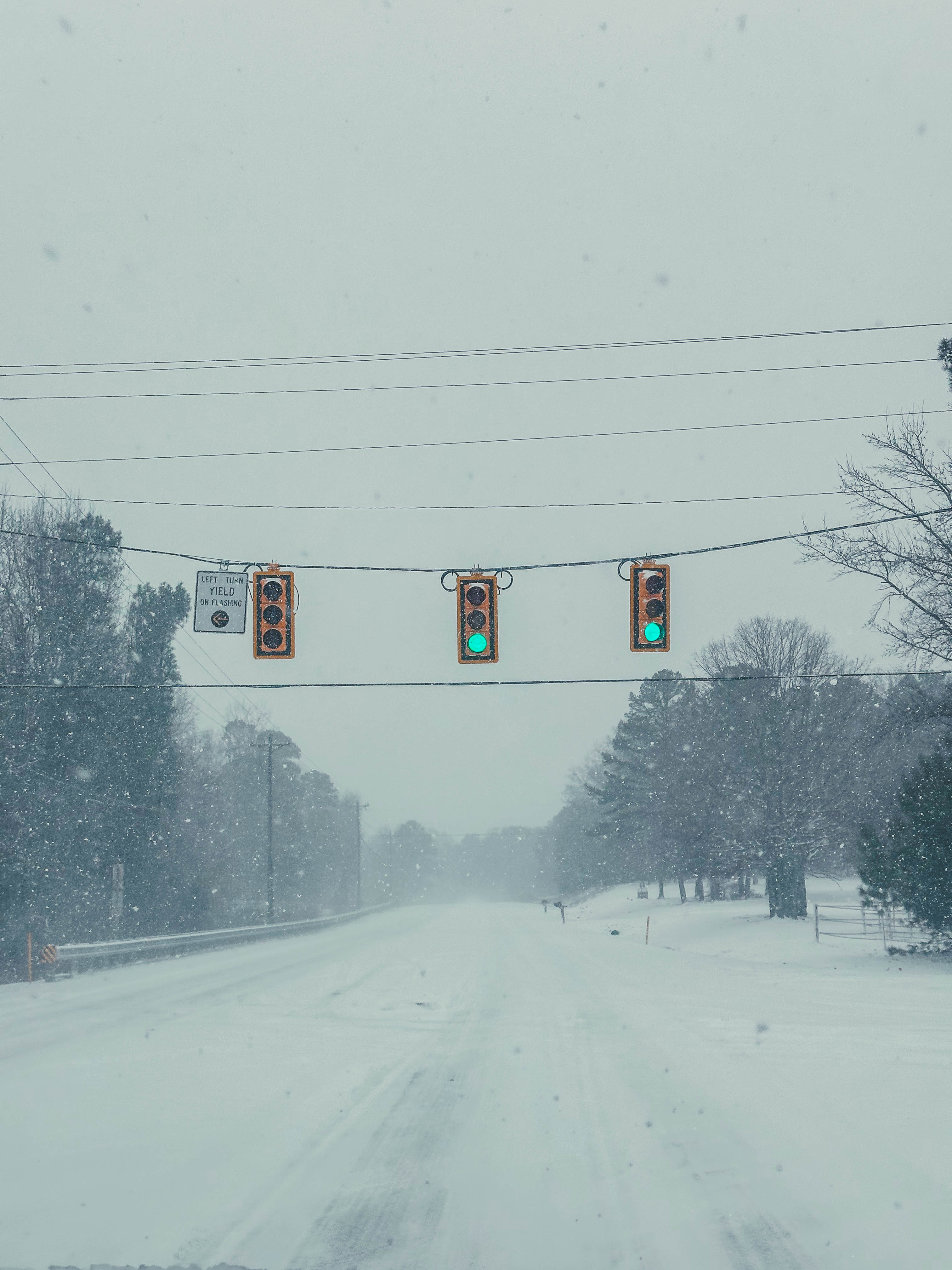 motherhood recap blog, lifestyle, mom life, toddler mom, south carolina, fort mill, swiss cheese, sherry chicken, healthy food, poppyseed kitchen, swim lessons, dinner ideas, motherhood, pregnancy, maternity, sourdough, birthday, cake, birds, food, snacks, snow day, snowing, tea, life