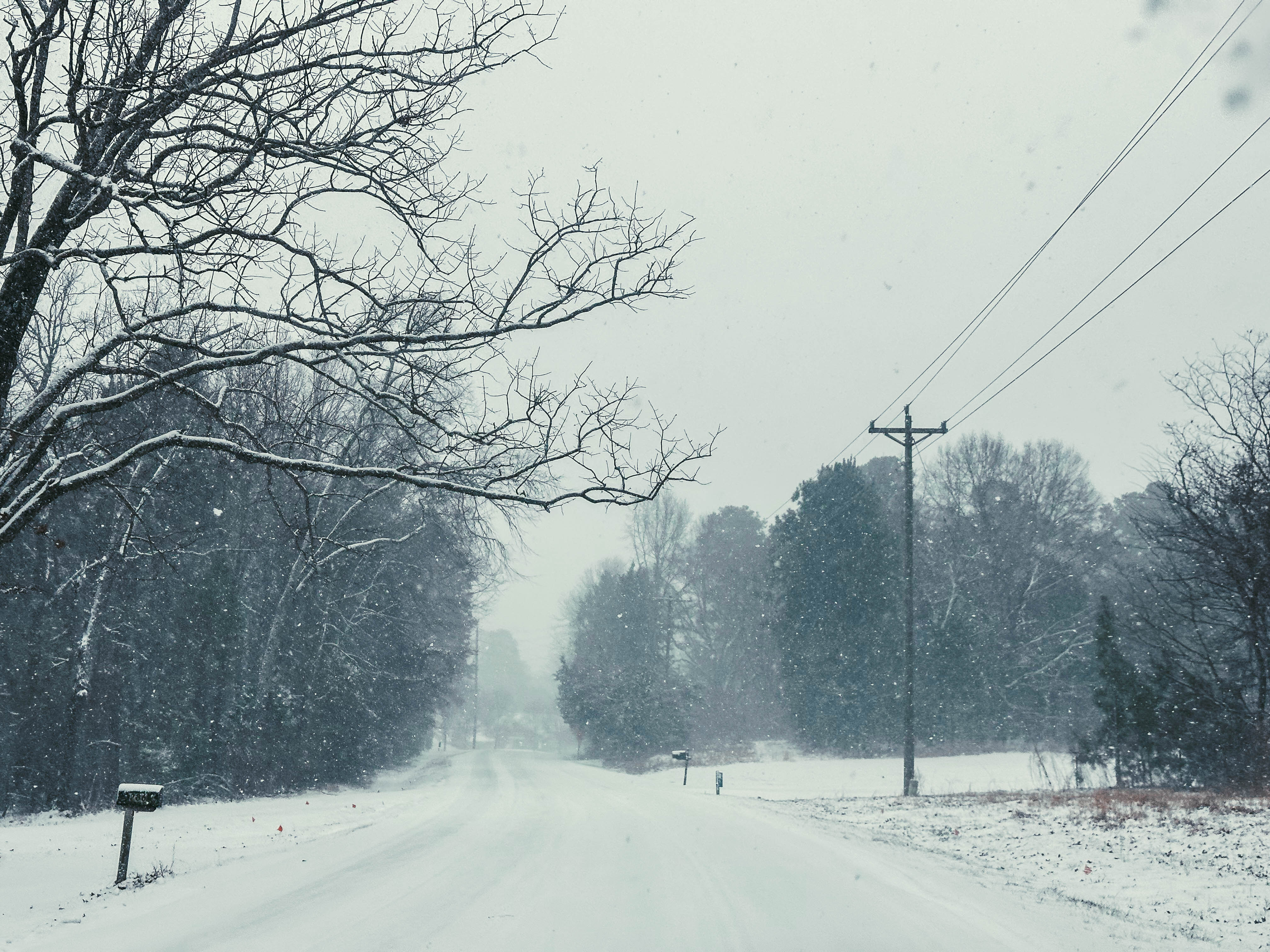 motherhood recap blog, lifestyle, mom life, toddler mom, south carolina, fort mill, swiss cheese, sherry chicken, healthy food, poppyseed kitchen, swim lessons, dinner ideas, motherhood, pregnancy, maternity, sourdough, birthday, cake, birds, food, snacks, snow day, snowing, tea, life