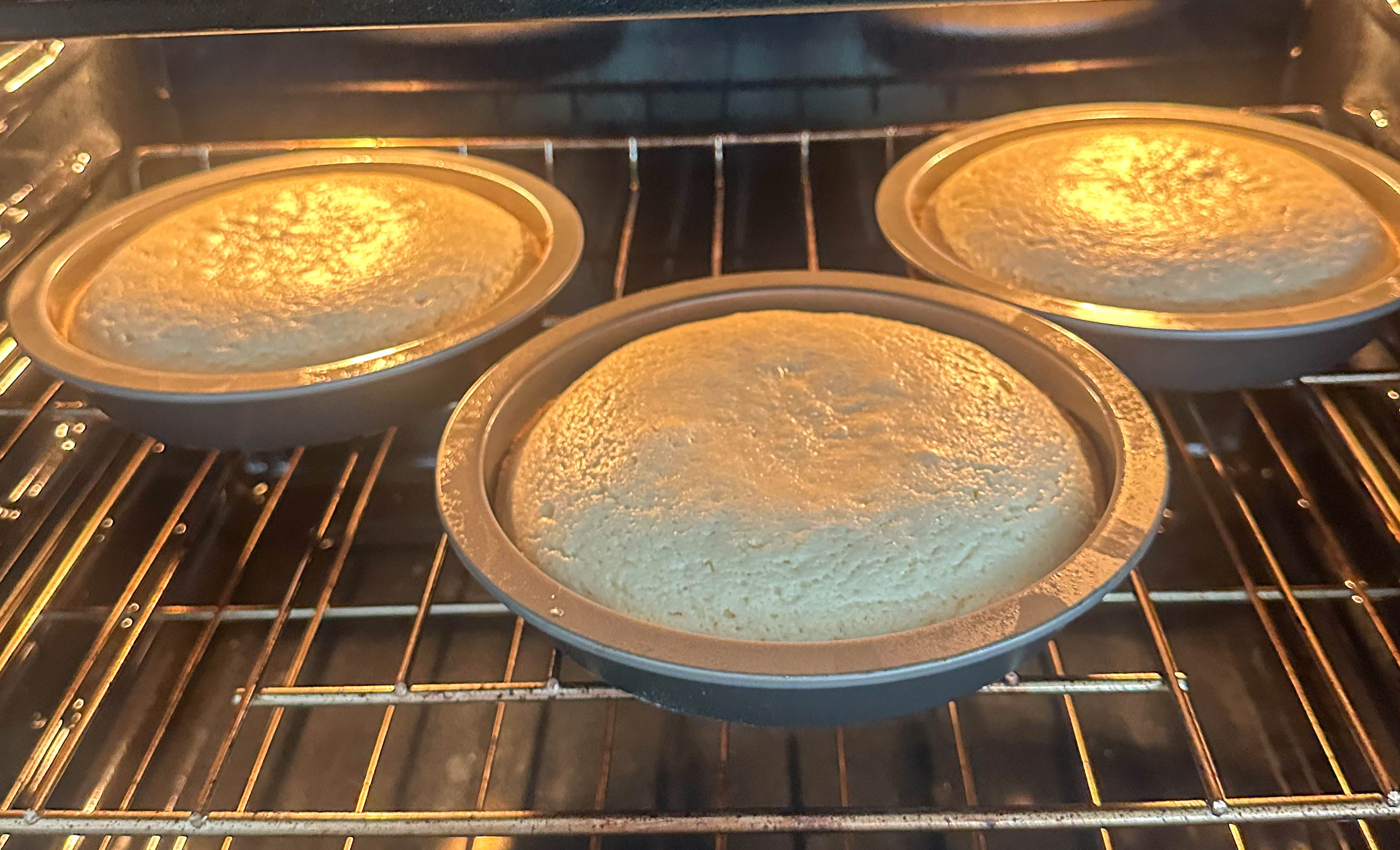 motherhood recap blog, lifestyle, mom life, toddler mom, south carolina, fort mill, swiss cheese, sherry chicken, healthy food, poppyseed kitchen, swim lessons, dinner ideas, motherhood, pregnancy, maternity, sourdough, birthday, cake, birds, food, snacks, snow day, snowing, tea, life