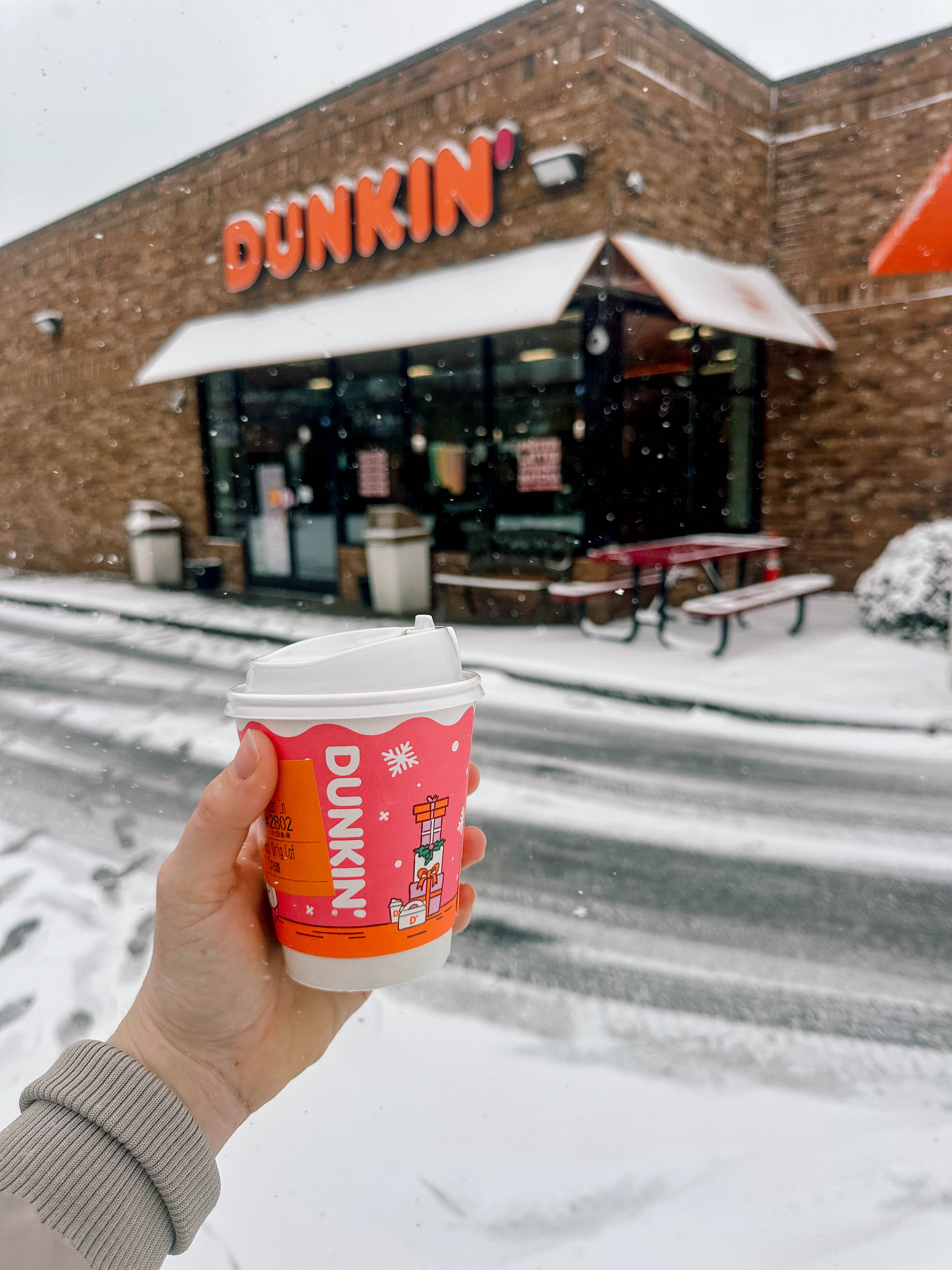 motherhood recap blog, lifestyle, mom life, toddler mom, south carolina, fort mill, swiss cheese, sherry chicken, healthy food, poppyseed kitchen, swim lessons, dinner ideas, motherhood, pregnancy, maternity, sourdough, birthday, cake, birds, food, snacks, snow day, snowing, tea, life