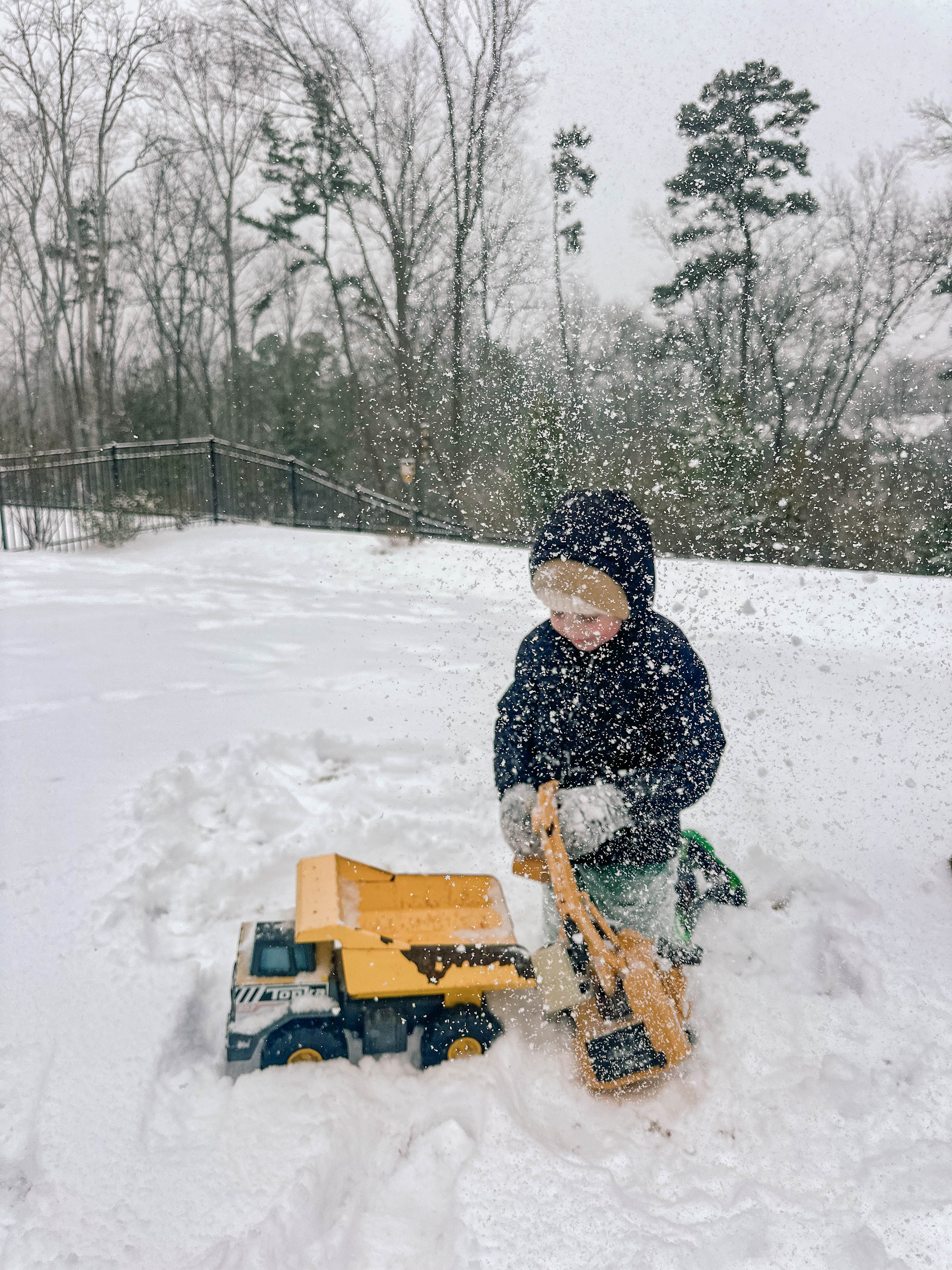 motherhood recap blog, lifestyle, mom life, toddler mom, south carolina, fort mill, swiss cheese, sherry chicken, healthy food, poppyseed kitchen, swim lessons, dinner ideas, motherhood, pregnancy, maternity, sourdough, birthday, cake, birds, food, snacks, snow day, snowing, tea, life