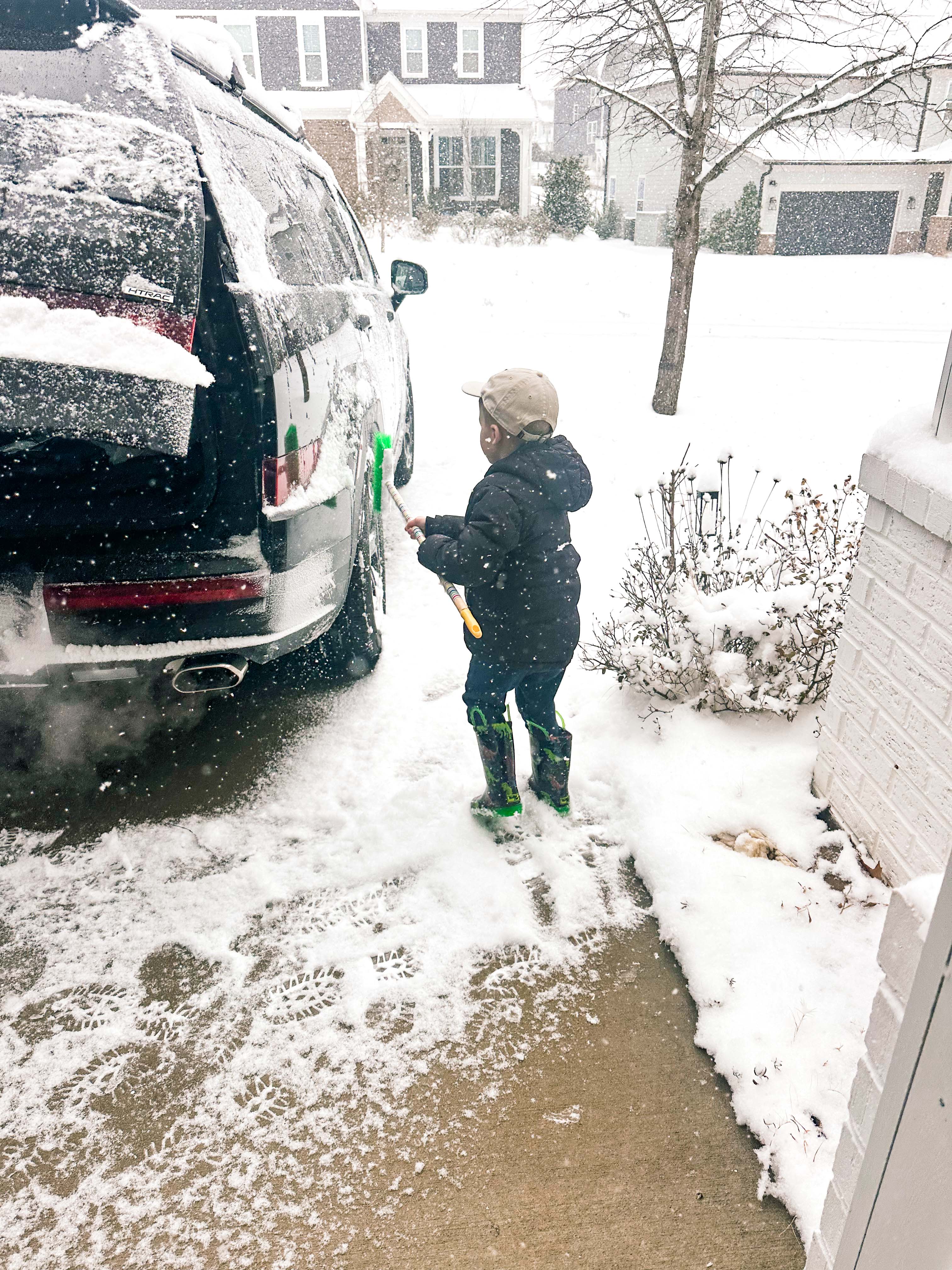 motherhood recap blog, lifestyle, mom life, toddler mom, south carolina, fort mill, swiss cheese, sherry chicken, healthy food, poppyseed kitchen, swim lessons, dinner ideas, motherhood, pregnancy, maternity, sourdough, birthday, cake, birds, food, snacks, snow day, snowing, tea, life