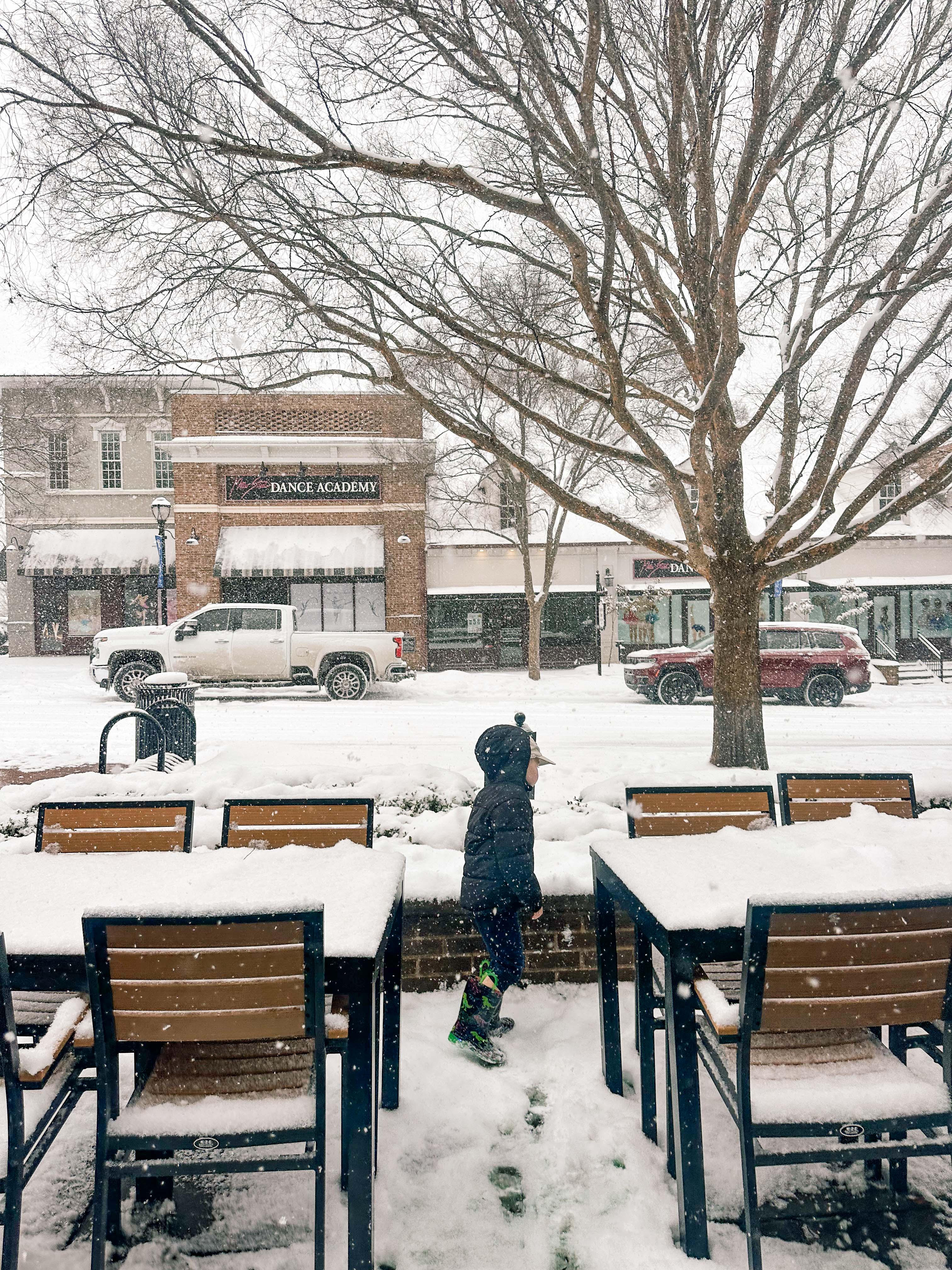 motherhood recap blog, lifestyle, mom life, toddler mom, south carolina, fort mill, swiss cheese, sherry chicken, healthy food, poppyseed kitchen, swim lessons, dinner ideas, motherhood, pregnancy, maternity, sourdough, birthday, cake, birds, food, snacks, snow day, snowing, tea, life