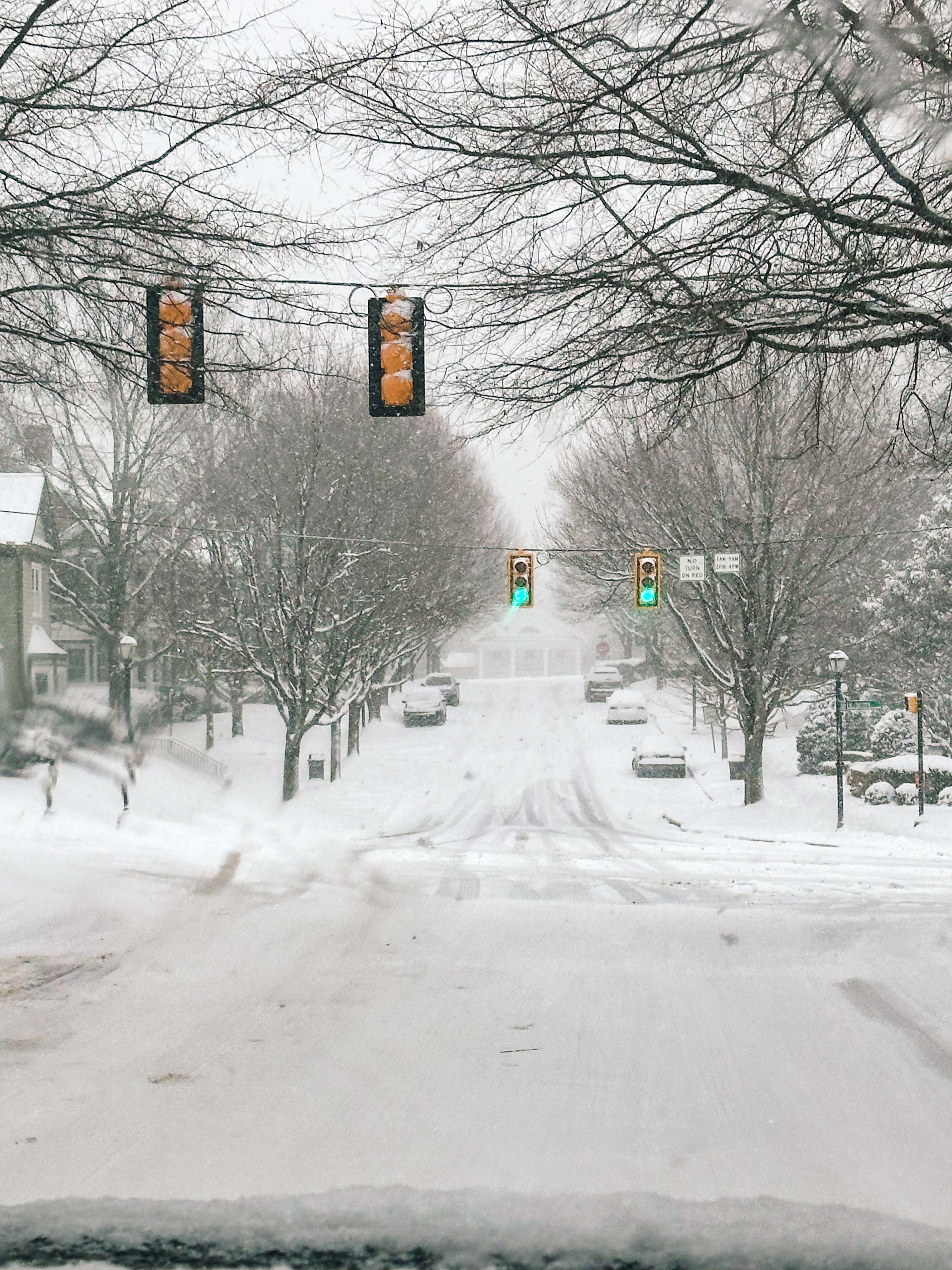 motherhood recap blog, lifestyle, mom life, toddler mom, south carolina, fort mill, swiss cheese, sherry chicken, healthy food, poppyseed kitchen, swim lessons, dinner ideas, motherhood, pregnancy, maternity, sourdough, birthday, cake, birds, food, snacks, snow day, snowing, tea, life