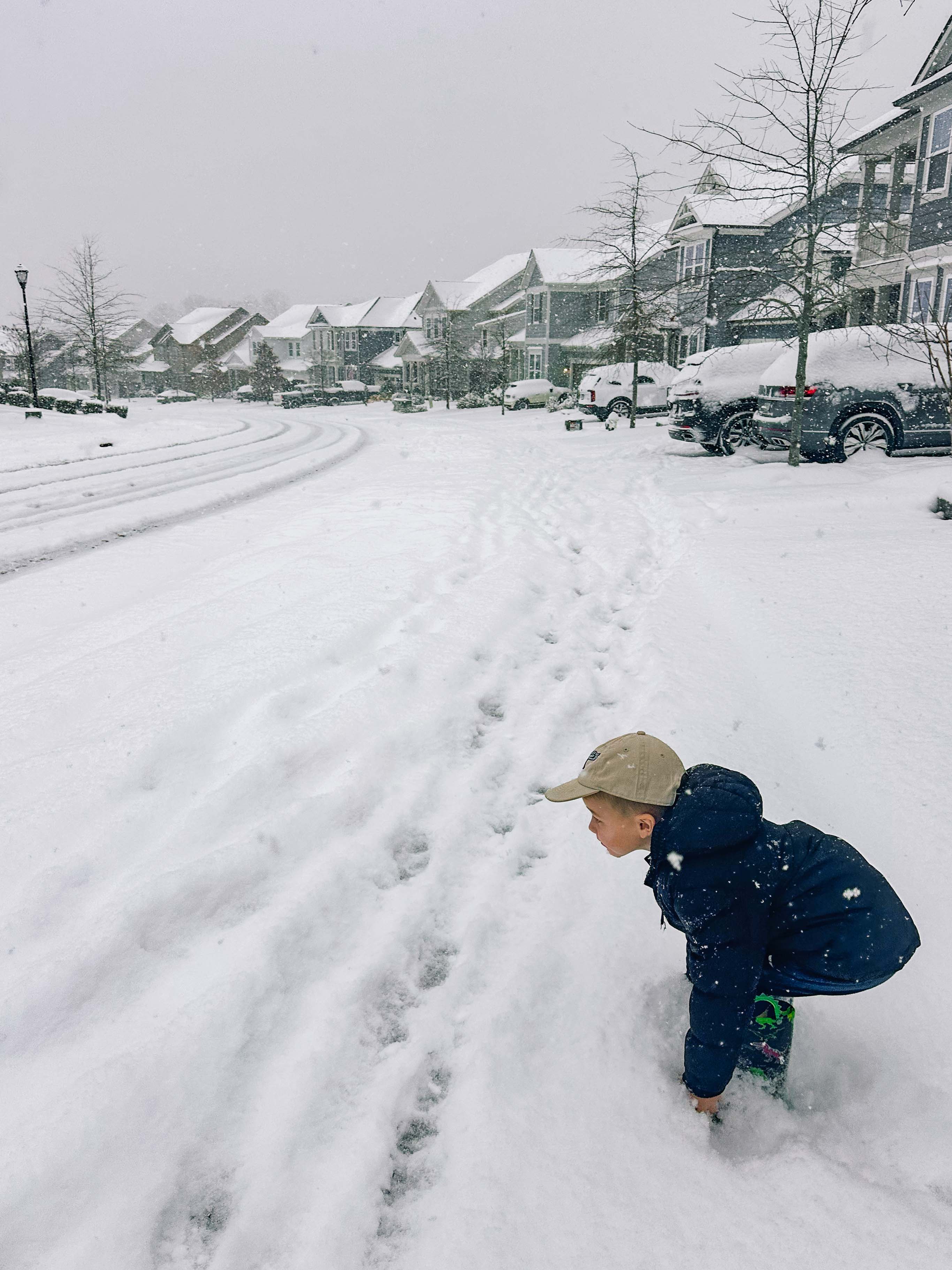 motherhood recap blog, lifestyle, mom life, toddler mom, south carolina, fort mill, swiss cheese, sherry chicken, healthy food, poppyseed kitchen, swim lessons, dinner ideas, motherhood, pregnancy, maternity, sourdough, birthday, cake, birds, food, snacks, snow day, snowing, tea, life