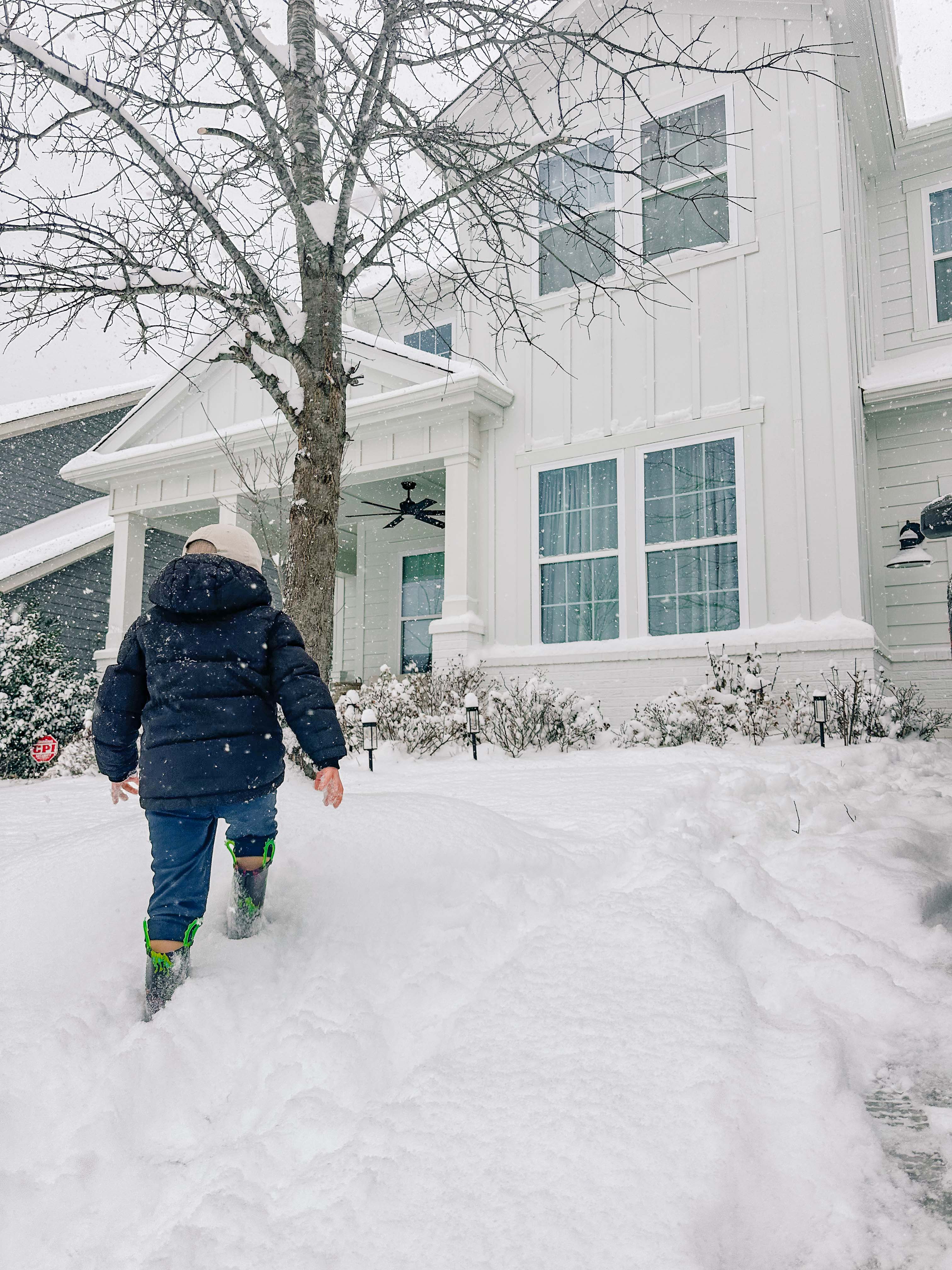 motherhood recap blog, lifestyle, mom life, toddler mom, south carolina, fort mill, swiss cheese, sherry chicken, healthy food, poppyseed kitchen, swim lessons, dinner ideas, motherhood, pregnancy, maternity, sourdough, birthday, cake, birds, food, snacks, snow day, snowing, tea, life