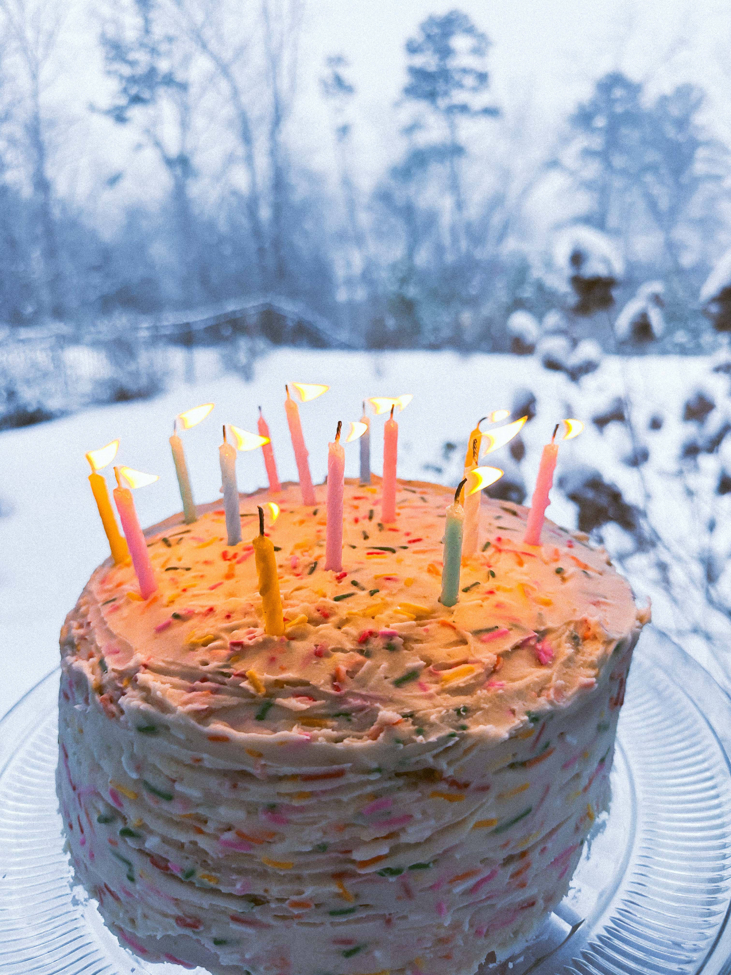 motherhood recap blog, lifestyle, mom life, toddler mom, south carolina, fort mill, swiss cheese, sherry chicken, healthy food, poppyseed kitchen, swim lessons, dinner ideas, motherhood, pregnancy, maternity, sourdough, birthday, cake, birds, food, snacks, snow day, snowing, tea, life