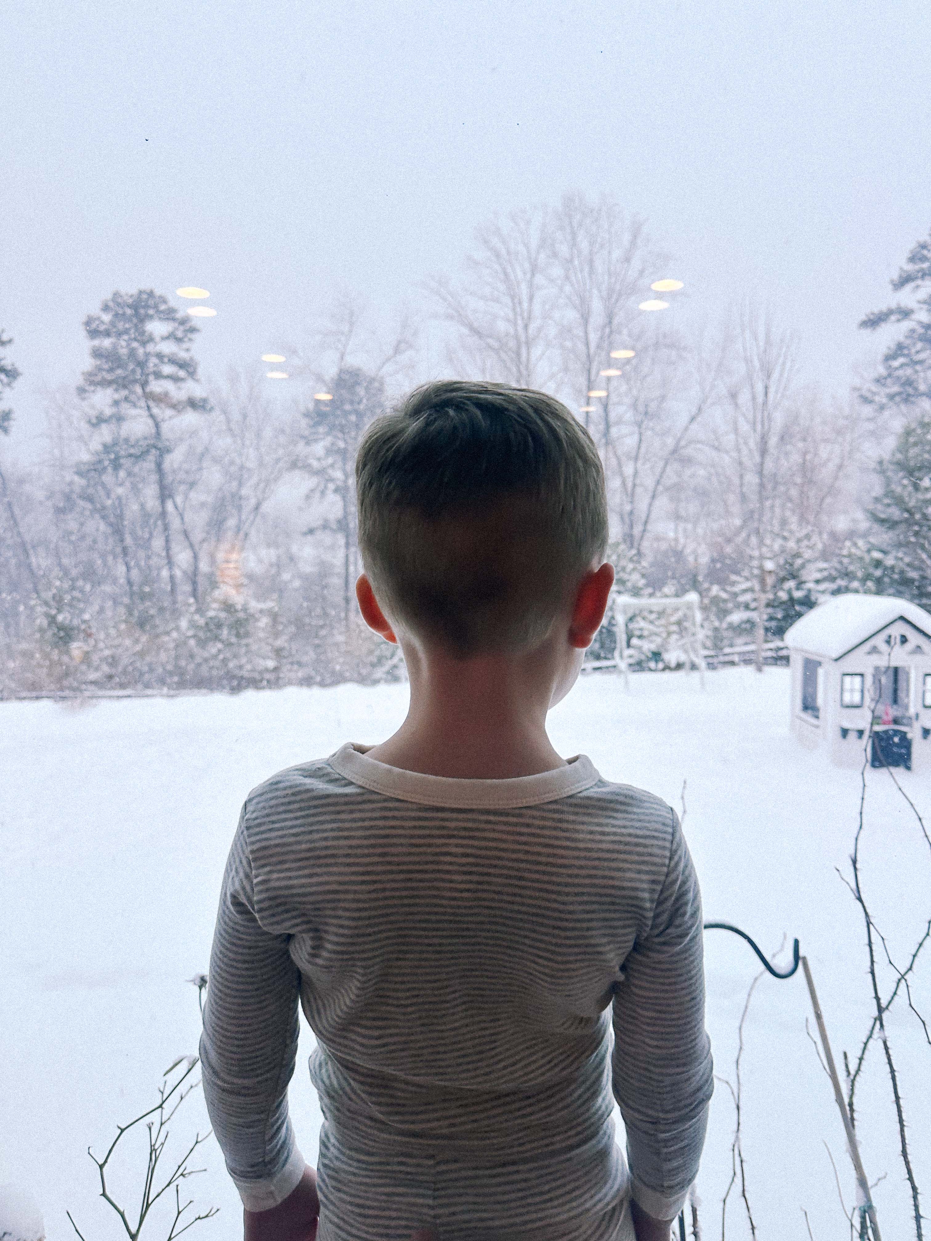 motherhood recap blog, lifestyle, mom life, toddler mom, south carolina, fort mill, swiss cheese, sherry chicken, healthy food, poppyseed kitchen, swim lessons, dinner ideas, motherhood, pregnancy, maternity, sourdough, birthday, cake, birds, food, snacks, snow day, snowing, tea, life