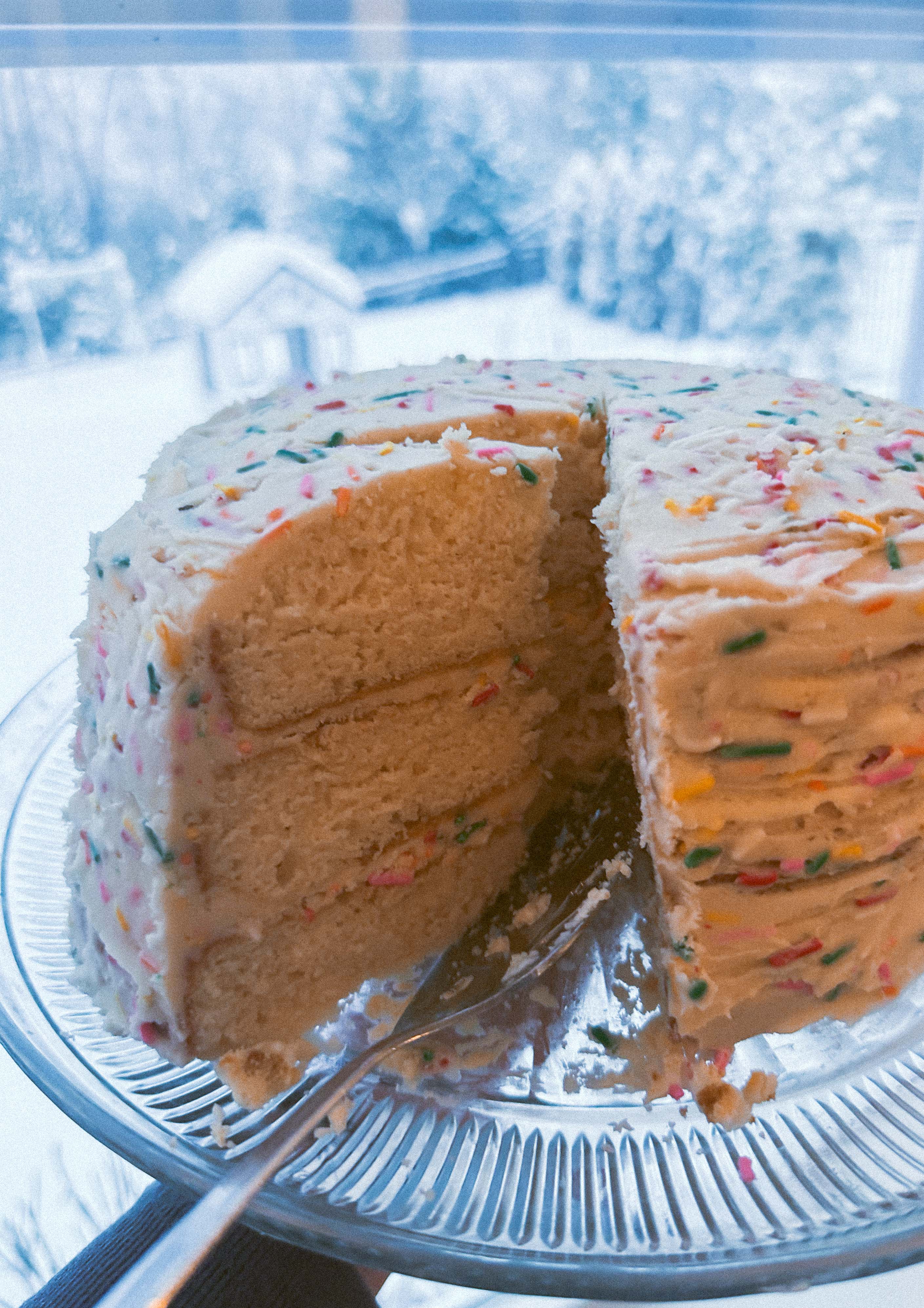 motherhood recap blog, lifestyle, mom life, toddler mom, south carolina, fort mill, swiss cheese, sherry chicken, healthy food, poppyseed kitchen, swim lessons, dinner ideas, motherhood, pregnancy, maternity, sourdough, birthday, cake, birds, food, snacks, snow day, snowing, tea, life