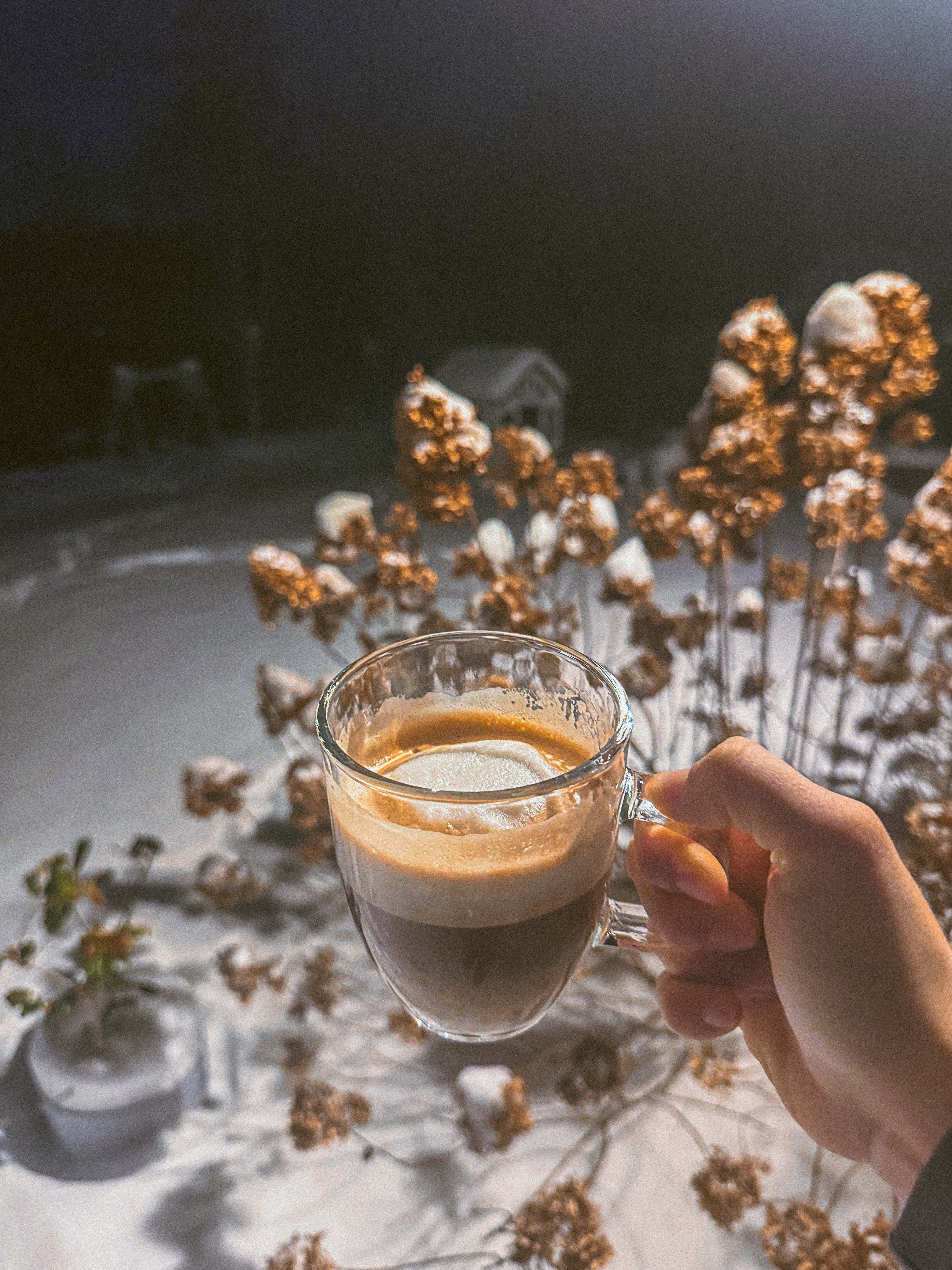 motherhood recap blog, lifestyle, mom life, toddler mom, south carolina, fort mill, swiss cheese, sherry chicken, healthy food, poppyseed kitchen, swim lessons, dinner ideas, motherhood, pregnancy, maternity, sourdough, birthday, cake, birds, food, snacks, snow day, snowing, tea, life