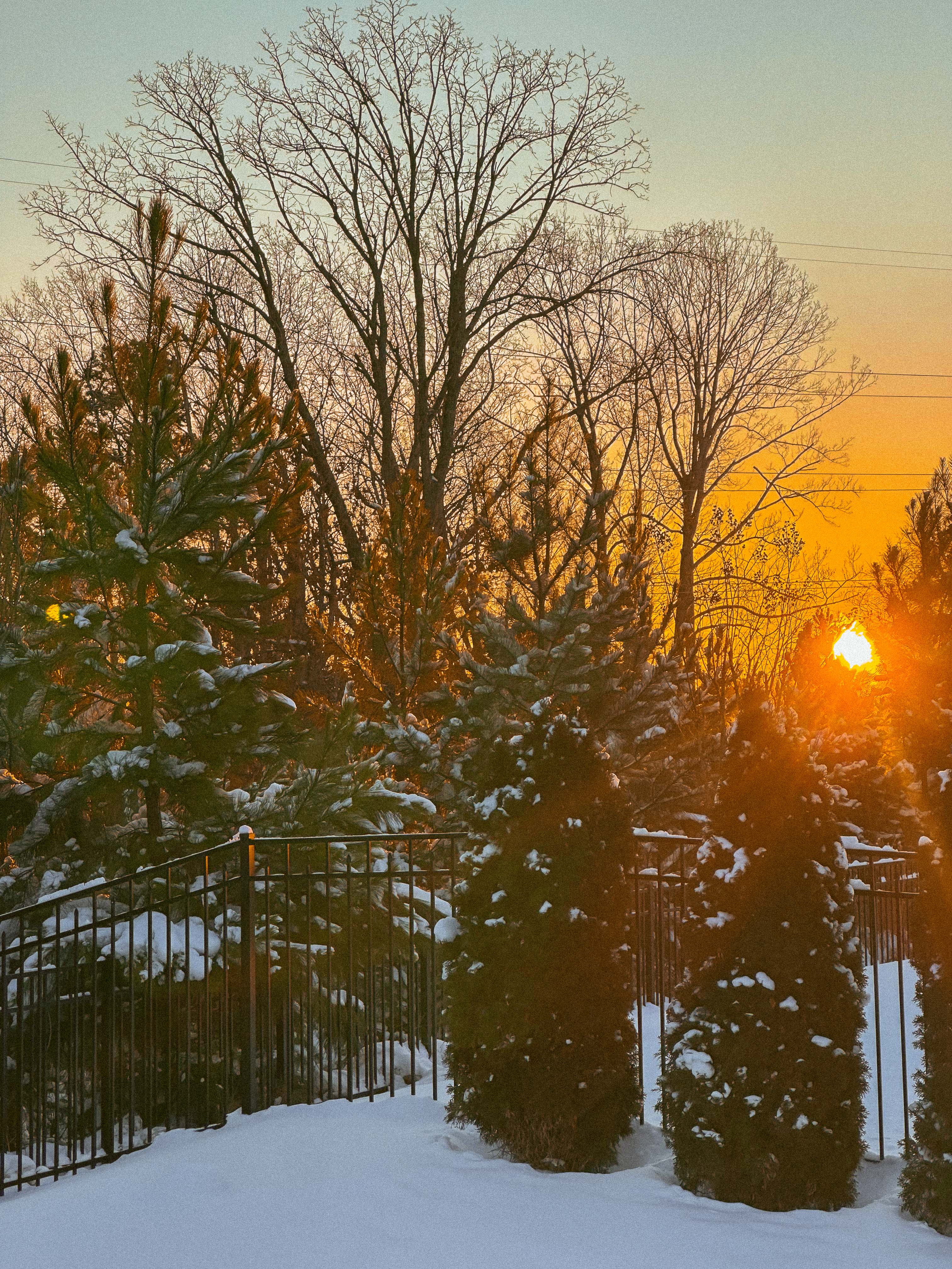 motherhood recap blog, lifestyle, mom life, toddler mom, south carolina, fort mill, swiss cheese, sherry chicken, healthy food, poppyseed kitchen, swim lessons, dinner ideas, motherhood, pregnancy, maternity, sourdough, birthday, cake, birds, food, snacks, snow day, snowing, tea, life