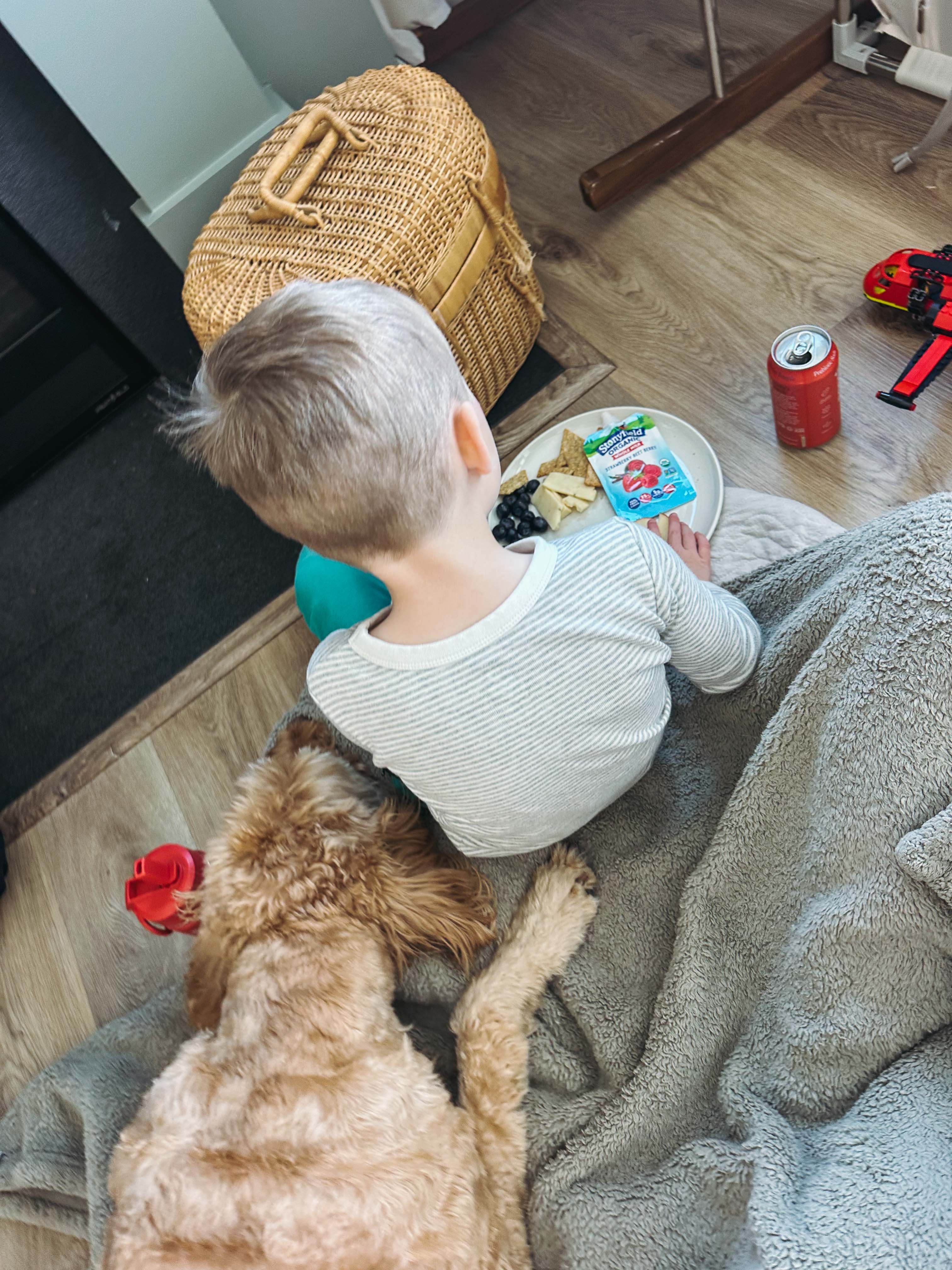 motherhood recap blog, lifestyle, mom life, toddler mom, south carolina, fort mill, swiss cheese, sherry chicken, healthy food, poppyseed kitchen, swim lessons, dinner ideas, motherhood, pregnancy, maternity, sourdough, birthday, cake, birds, food, snacks, snow day, snowing, tea, life