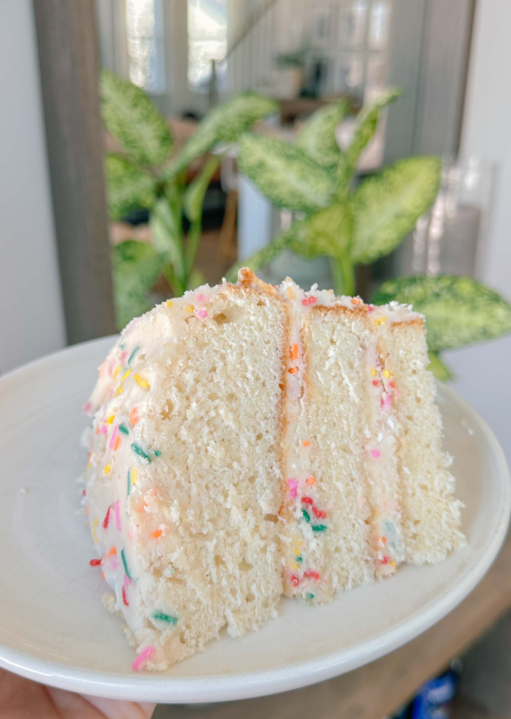 motherhood recap blog, lifestyle, mom life, toddler mom, south carolina, fort mill, swiss cheese, sherry chicken, healthy food, poppyseed kitchen, swim lessons, dinner ideas, motherhood, pregnancy, maternity, sourdough, birthday, cake, birds, food, snacks, snow day, snowing, tea, life